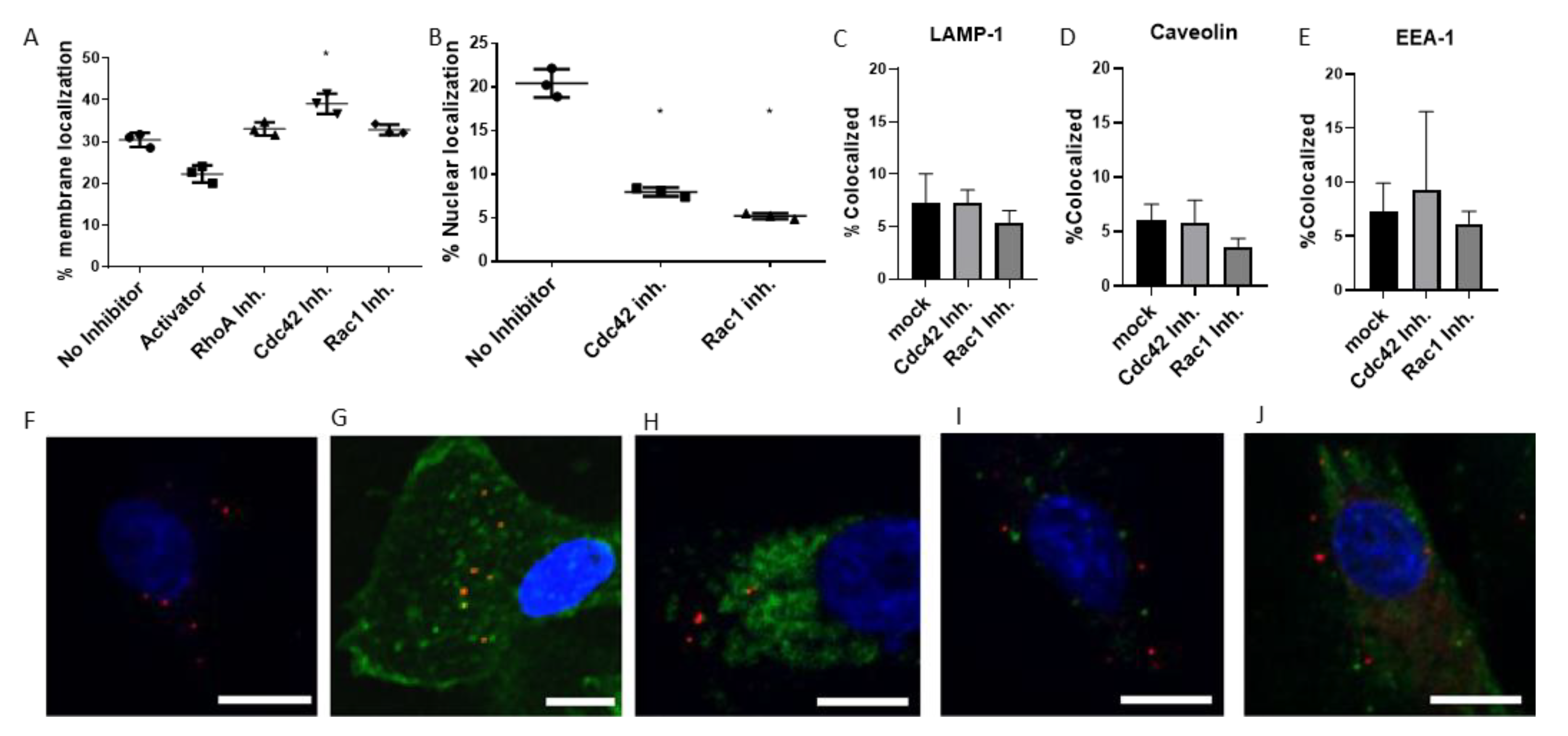 Microorganisms 08 01013 g004