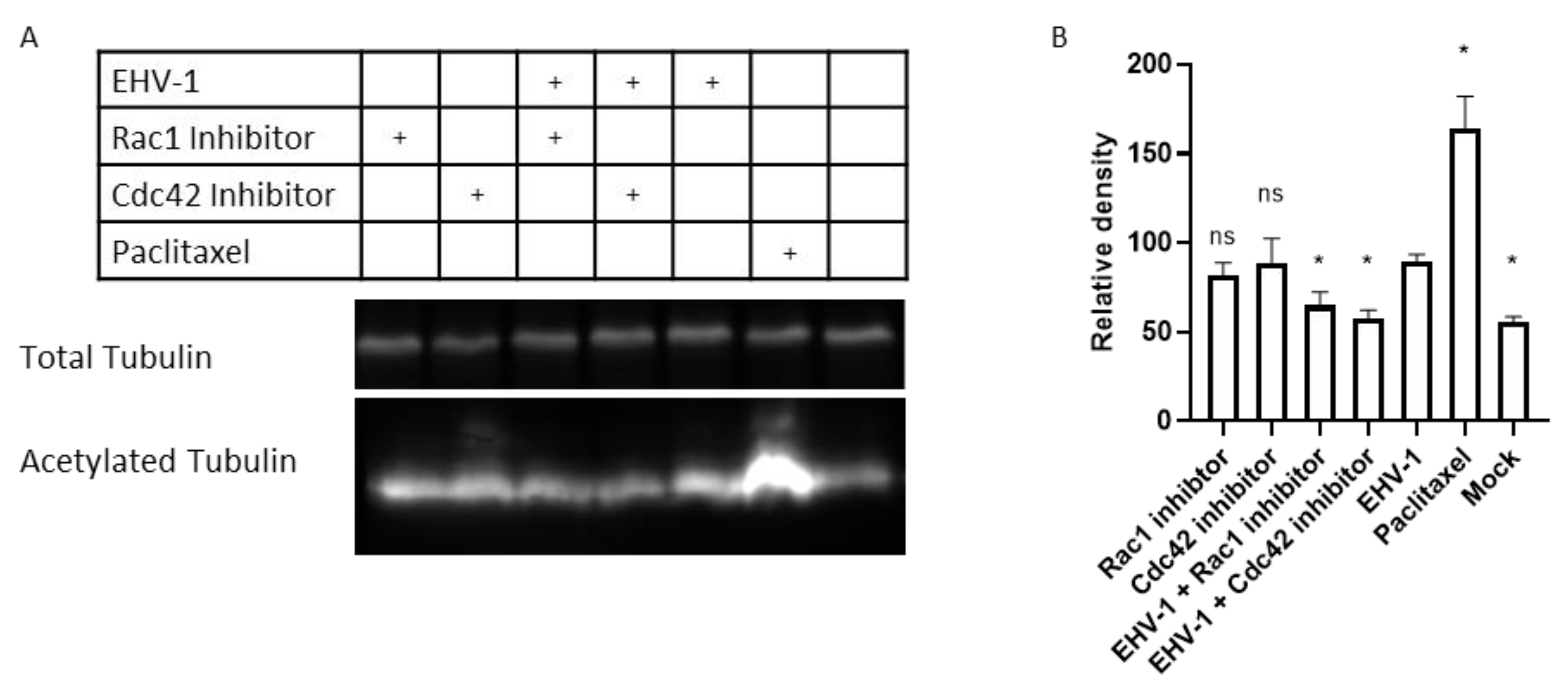 Microorganisms 08 01013 g005