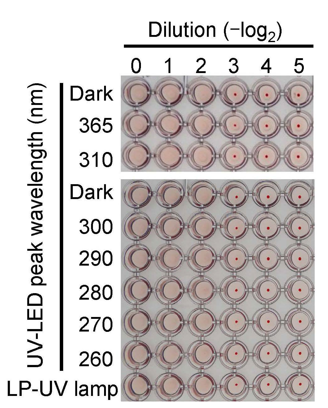 Microorganisms Free Full Text Irradiation By A Combination Of Different Peak Wavelength Ultraviolet Light Emitting Diodes Enhances The Inactivation Of Influenza A Viruses Html