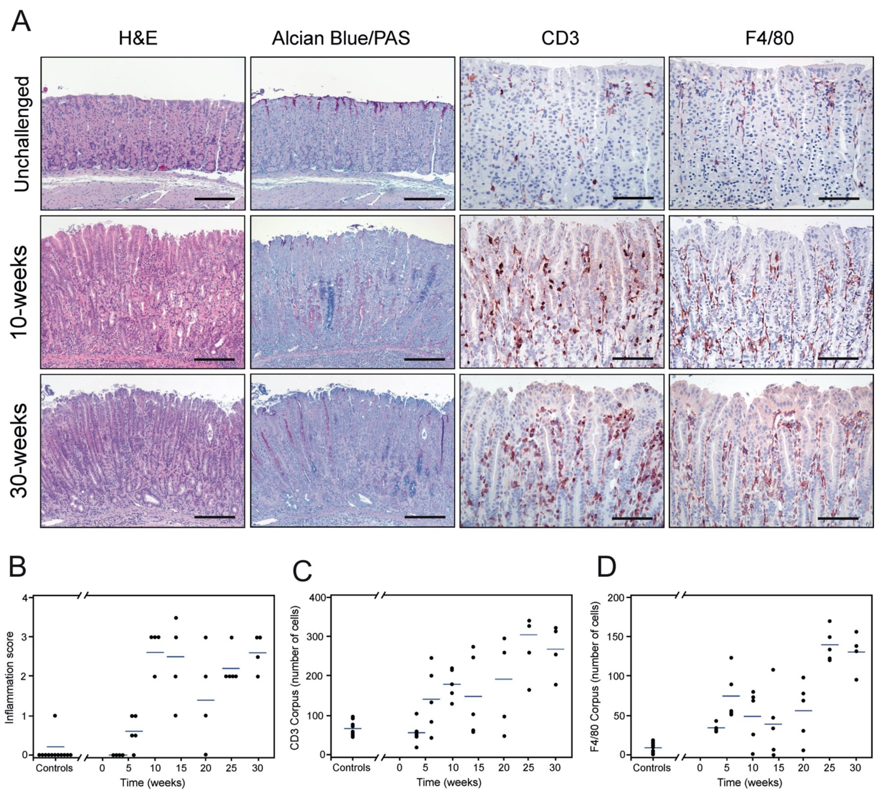 Microorganisms 08 01019 g002 Microorganisms 08 01019 g002