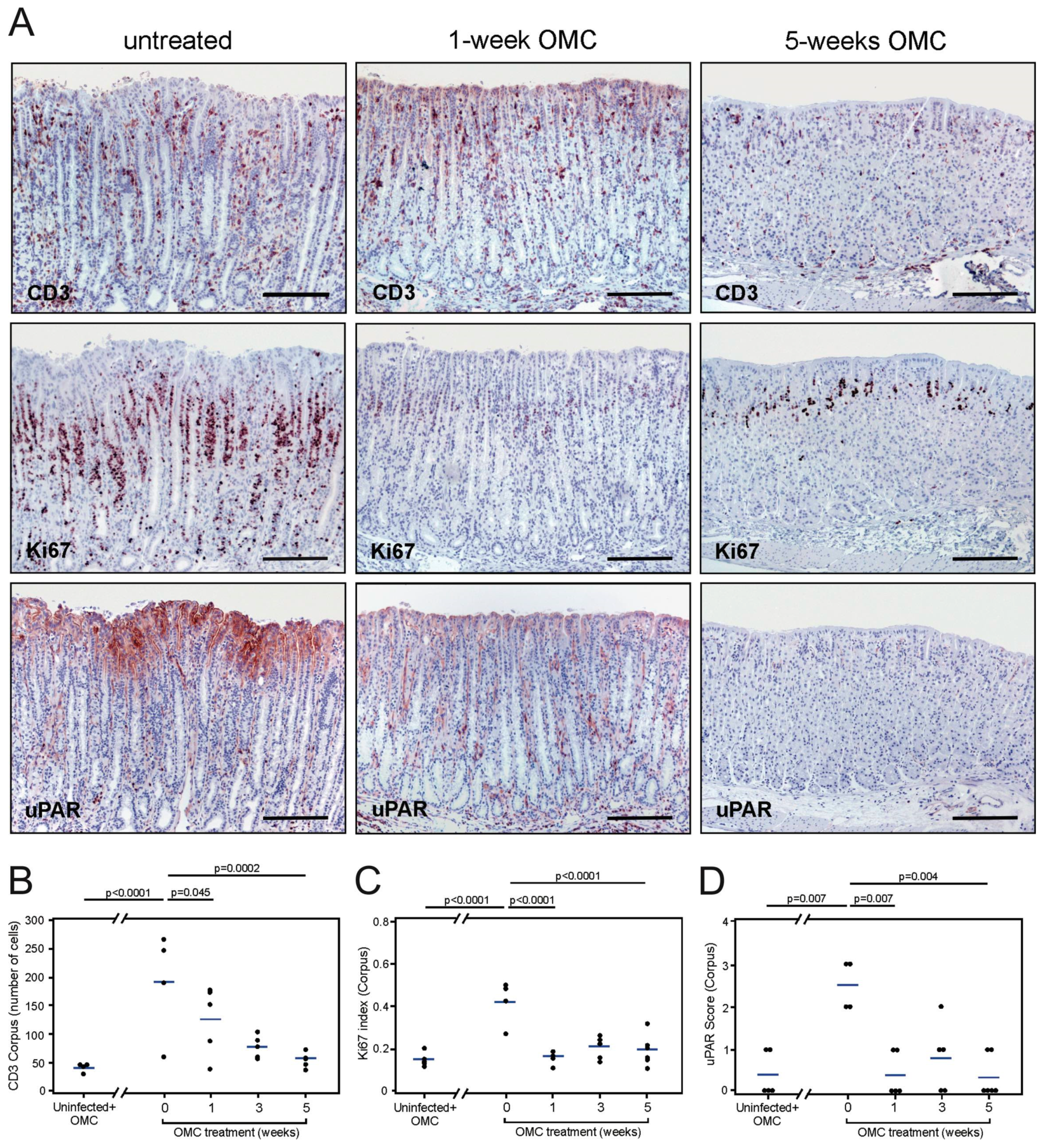 Microorganisms 08 01019 g005 Microorganisms 08 01019 g005