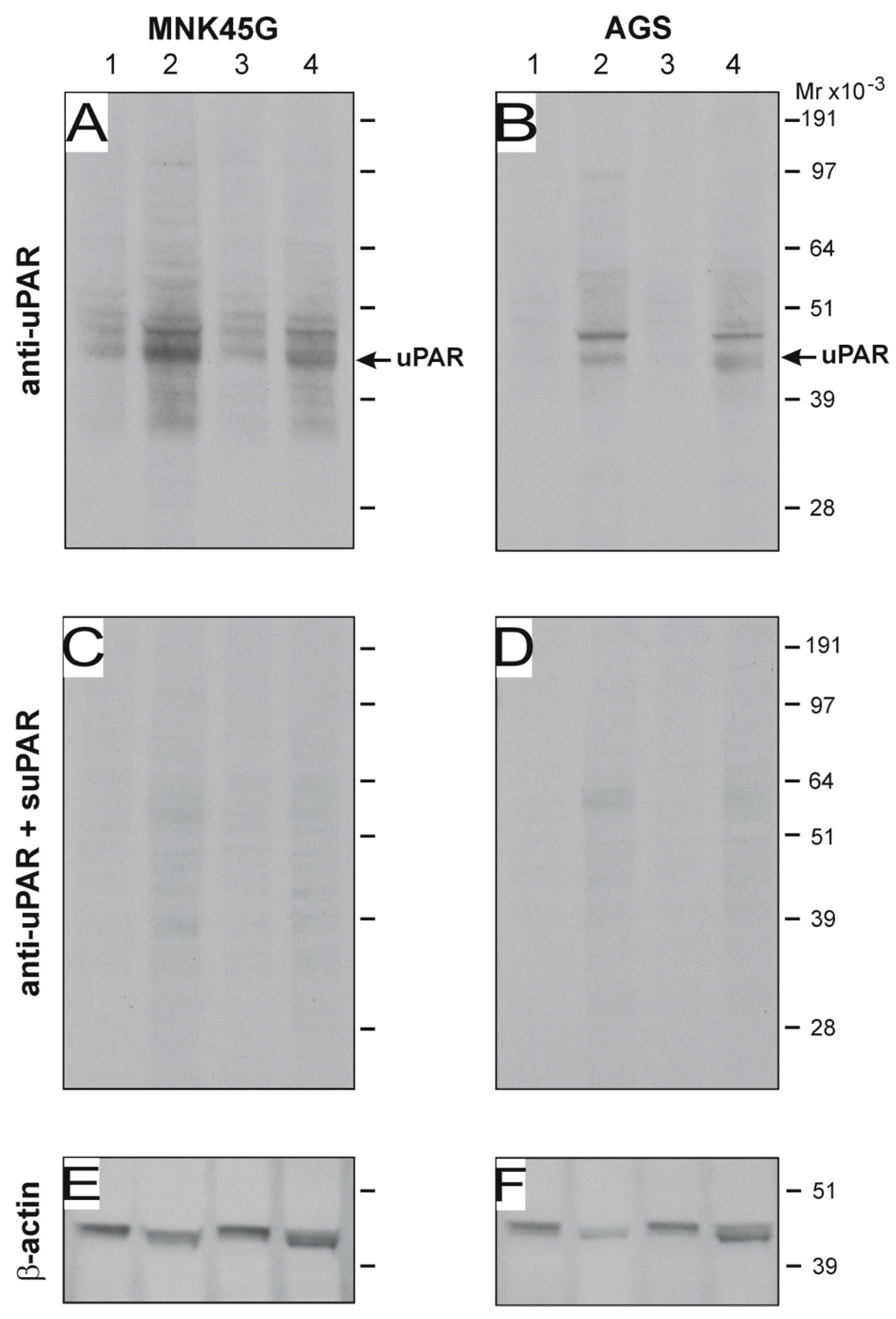 Microorganisms 08 01019 g007 Microorganisms 08 01019 g007