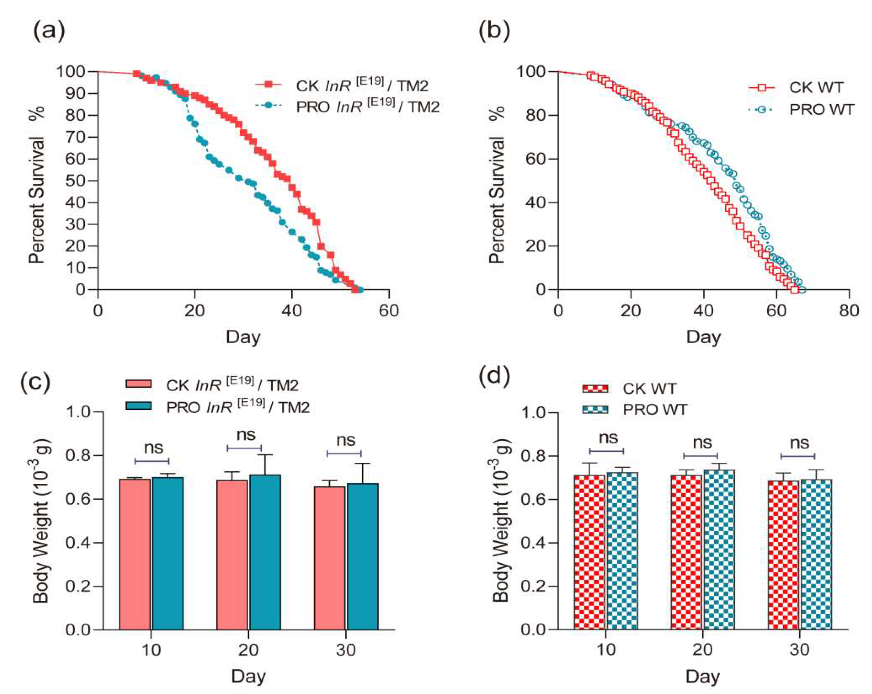 Microorganisms 08 01027 g001 Microorganisms 08 01027 g001