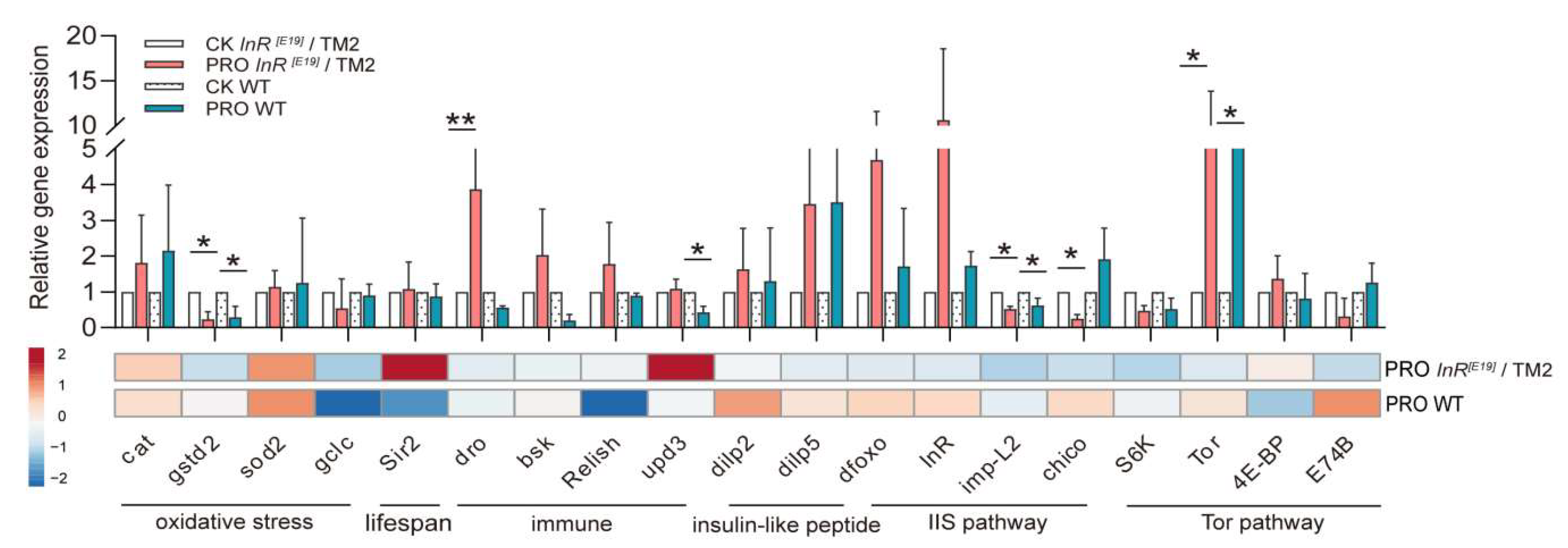 Microorganisms 08 01027 g002 Microorganisms 08 01027 g002
