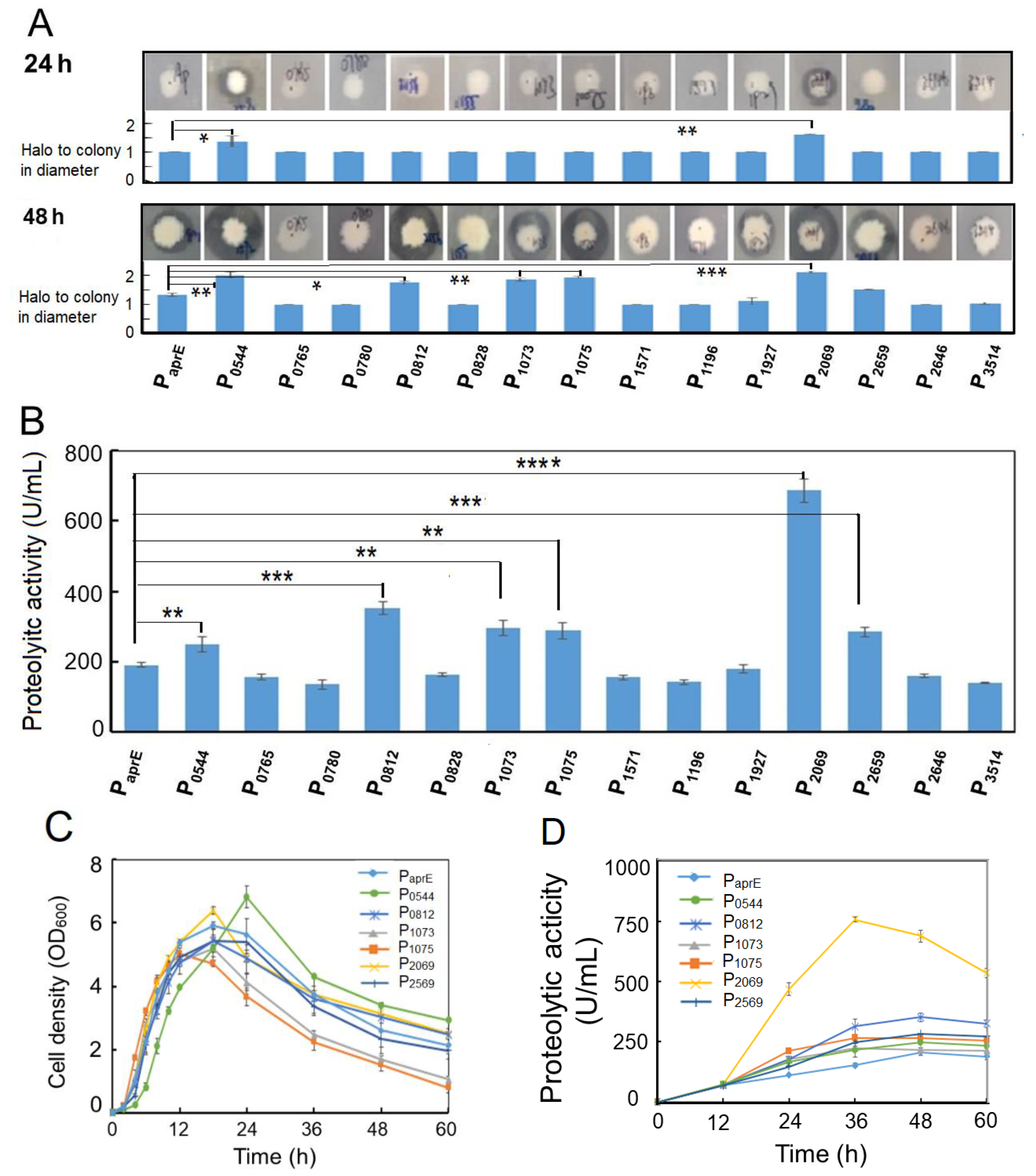 Microorganisms 08 01030 g001a Microorganisms 08 01030 g001a