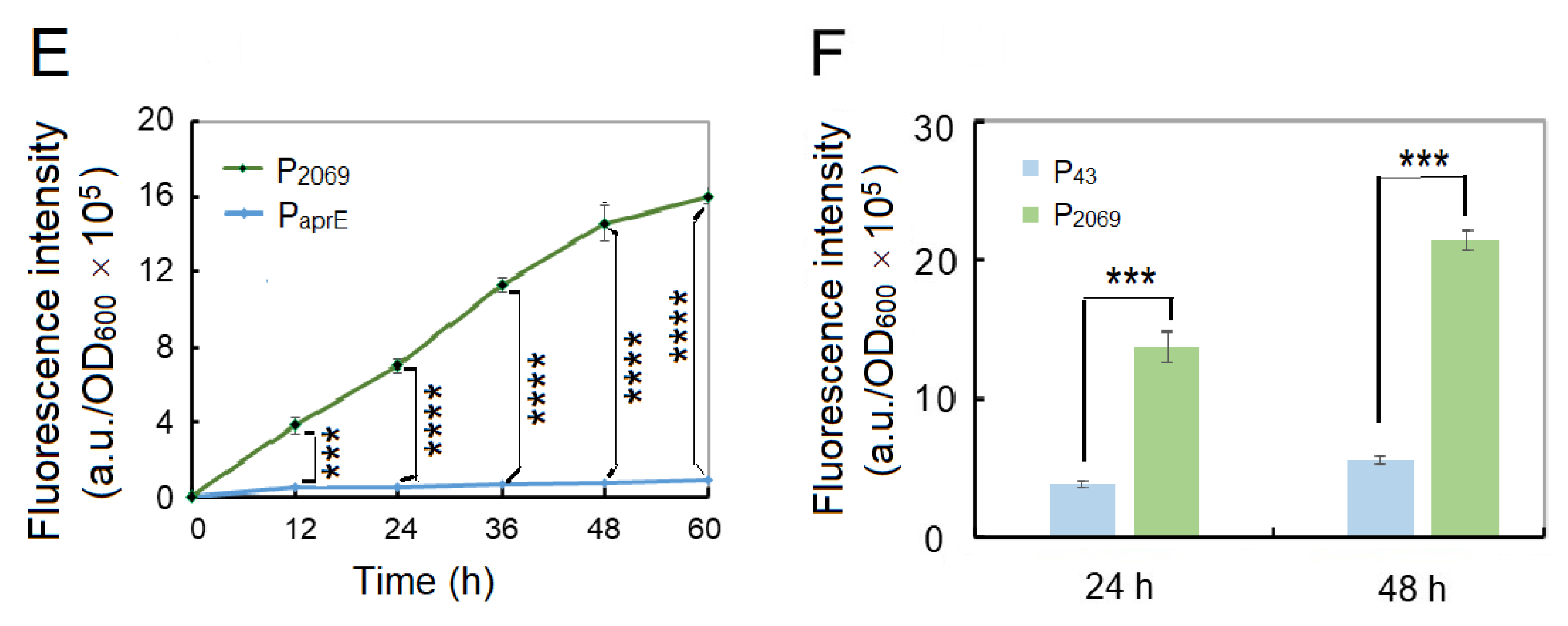 Microorganisms 08 01030 g001b Microorganisms 08 01030 g001b