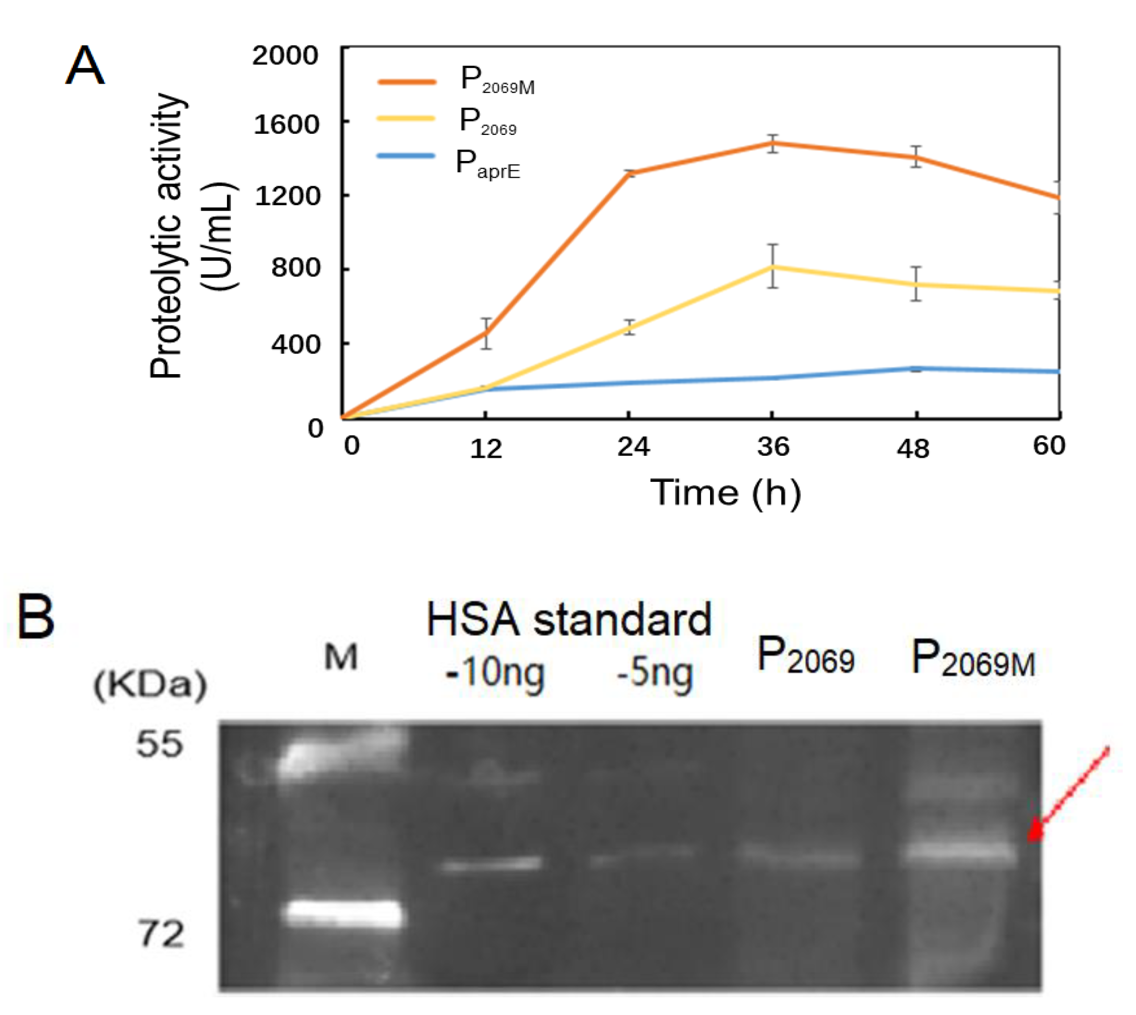 Microorganisms 08 01030 g004 Microorganisms 08 01030 g004