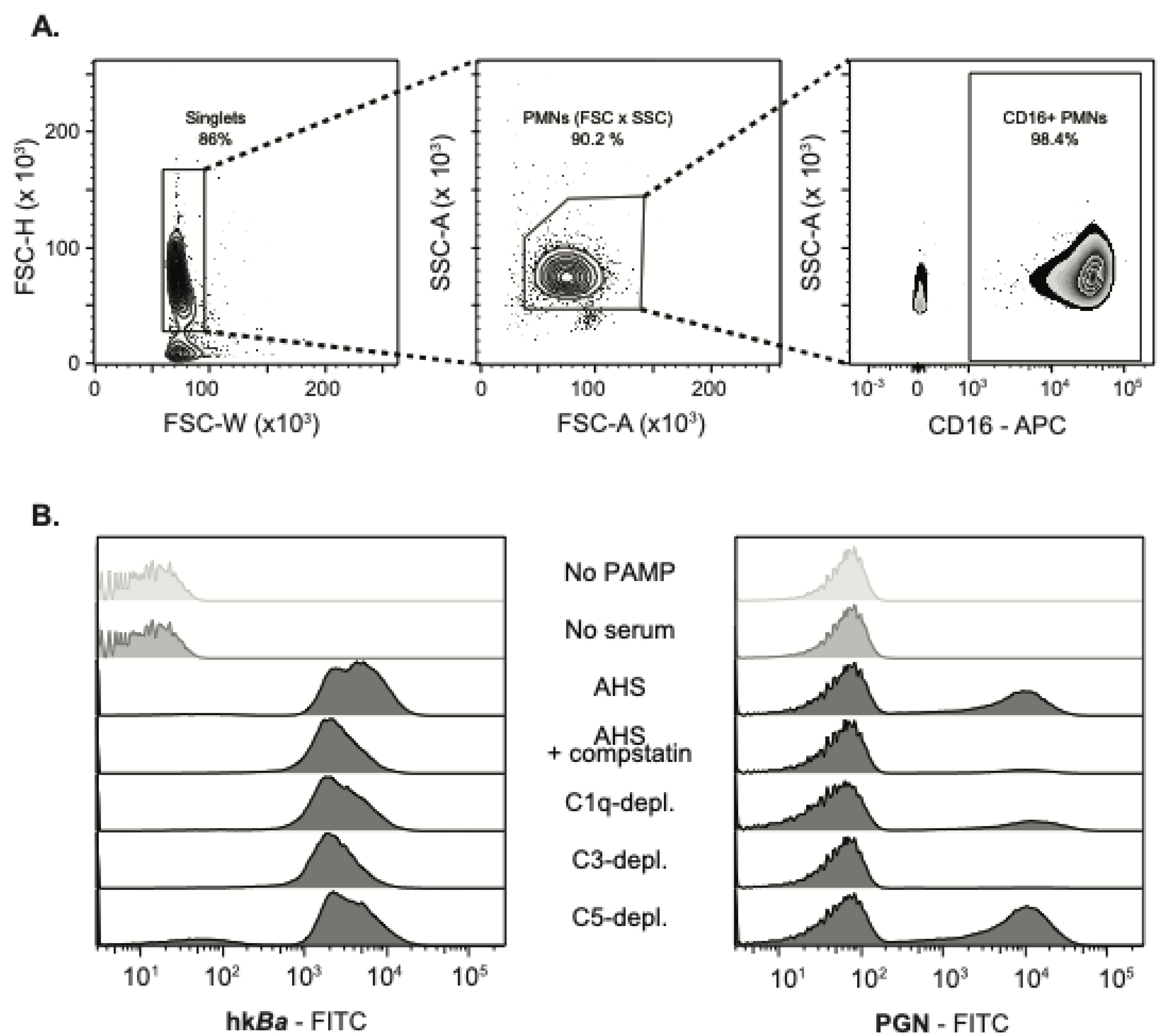 Microorganisms 08 01039 g001