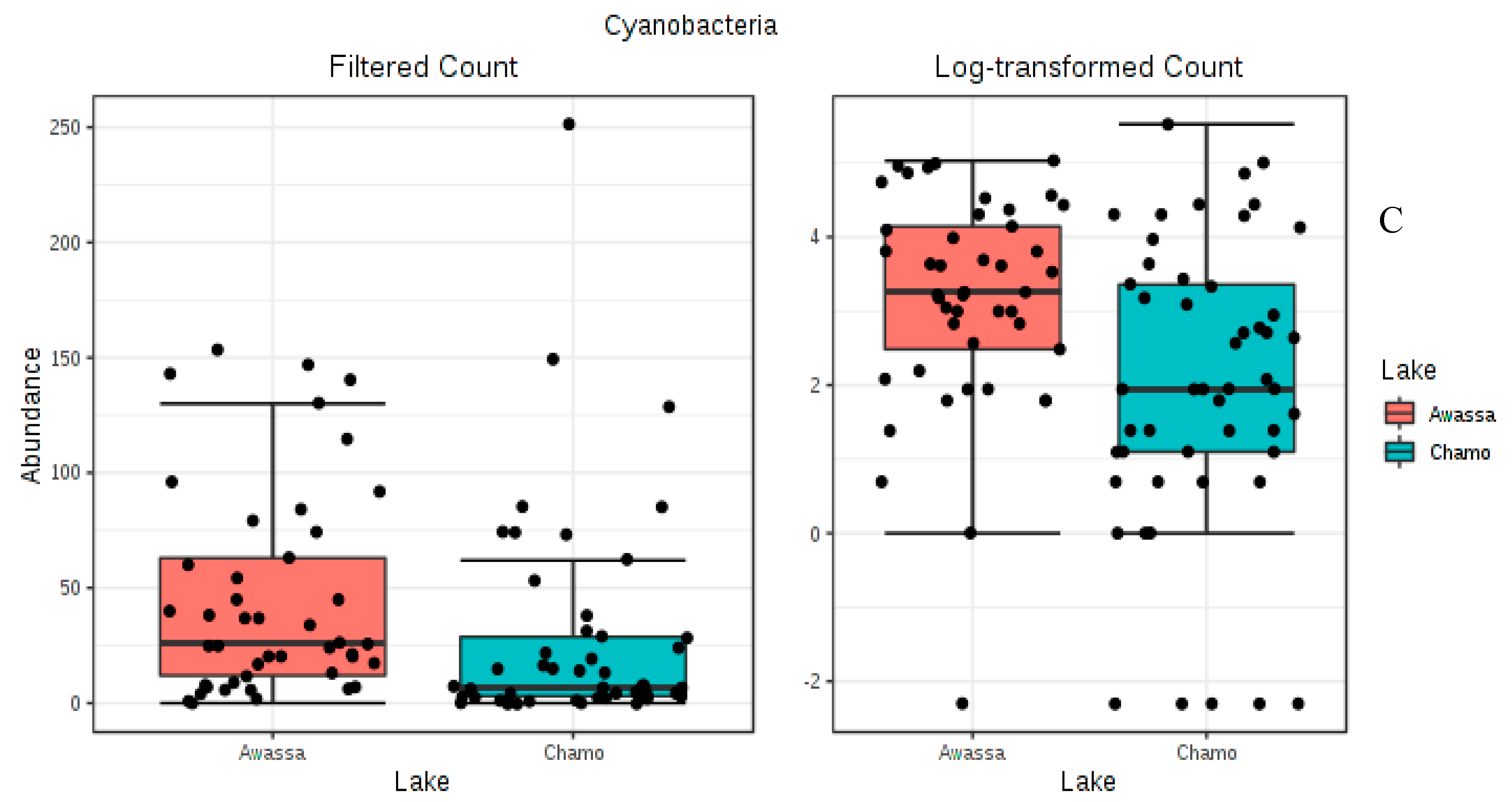 Microorganisms 08 01040 g006b Microorganisms 08 01040 g006b