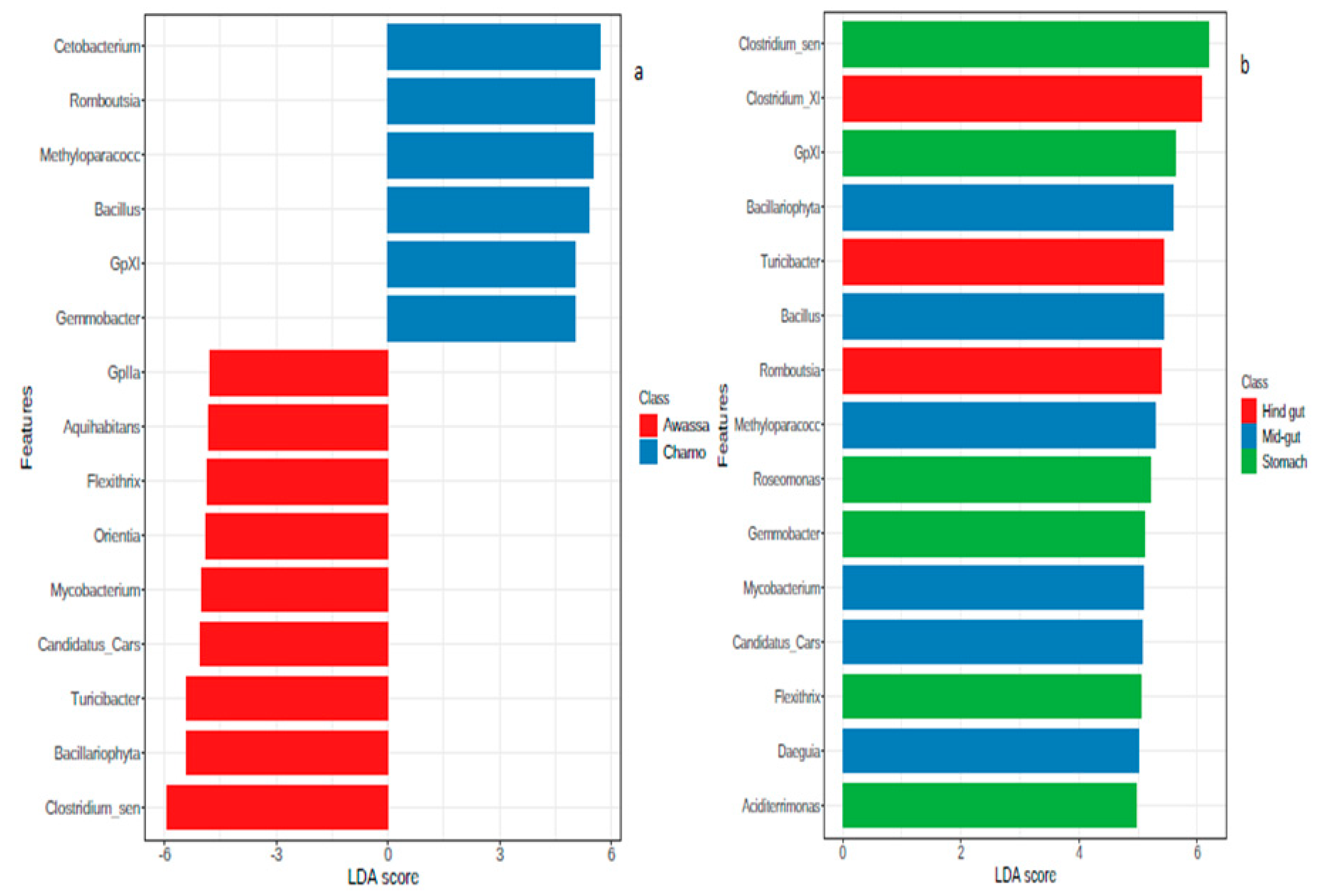 Microorganisms 08 01040 g007 Microorganisms 08 01040 g007