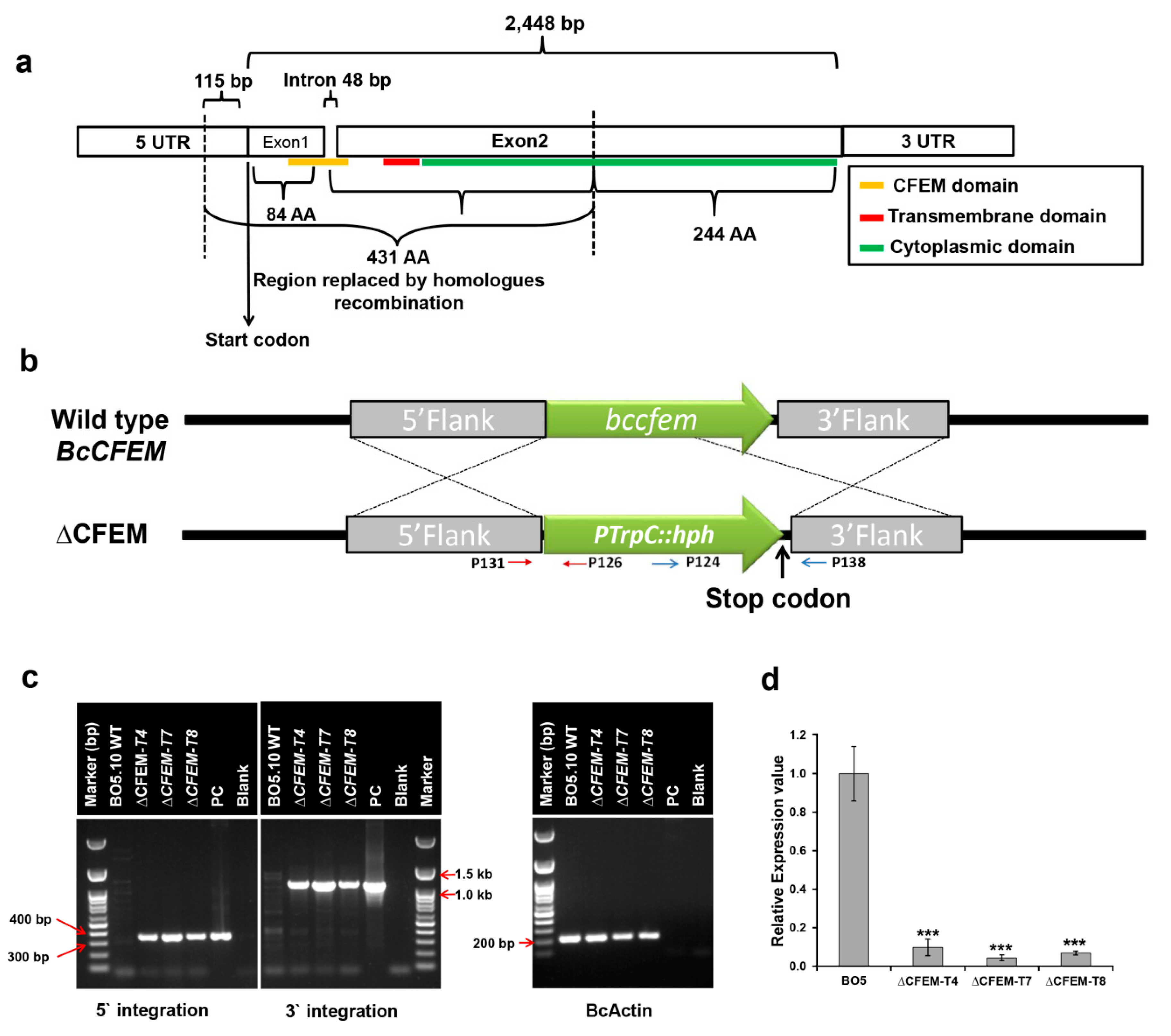 Microorganisms 08 01043 g001 Microorganisms 08 01043 g001