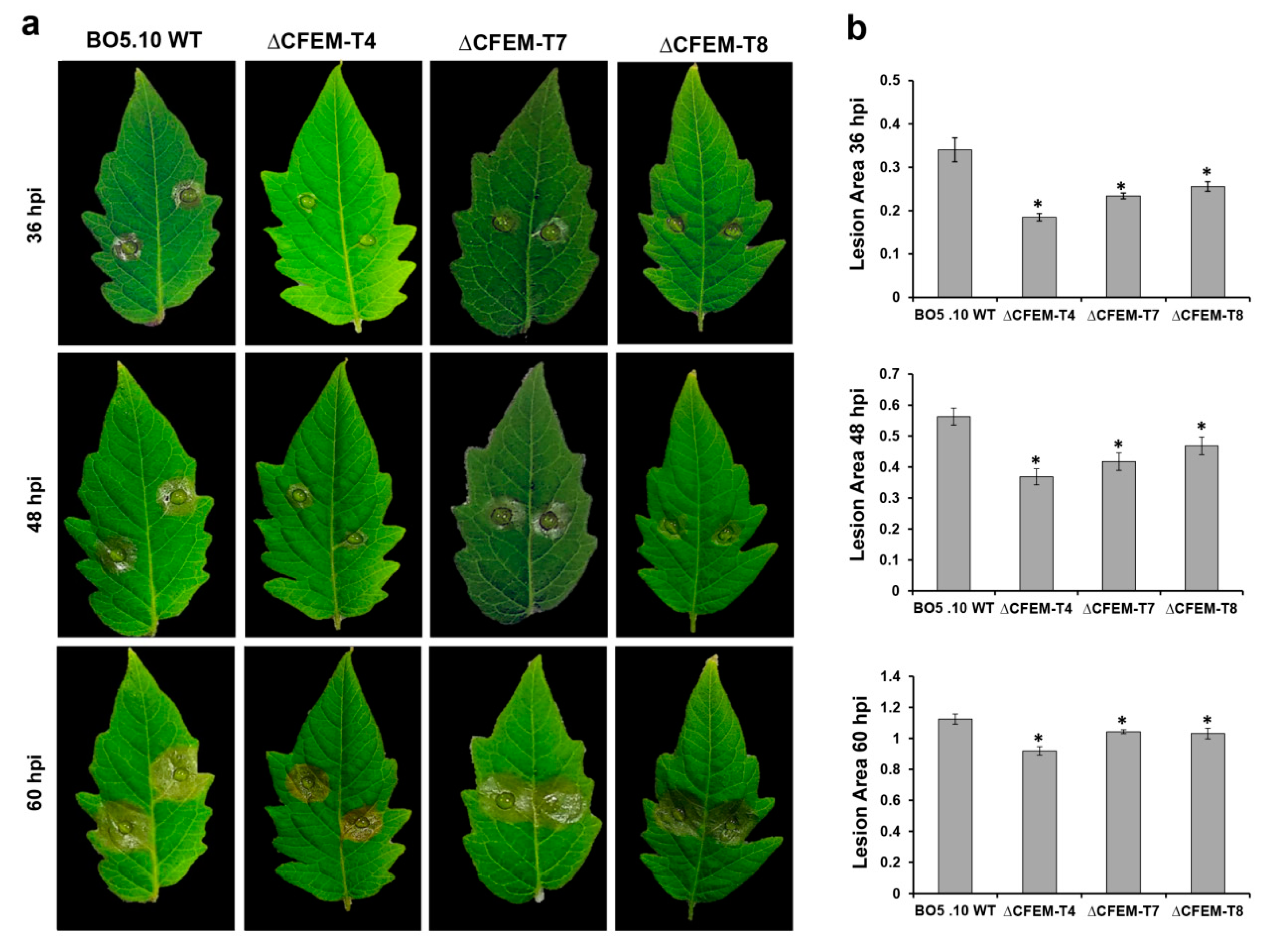 Microorganisms 08 01043 g002 Microorganisms 08 01043 g002