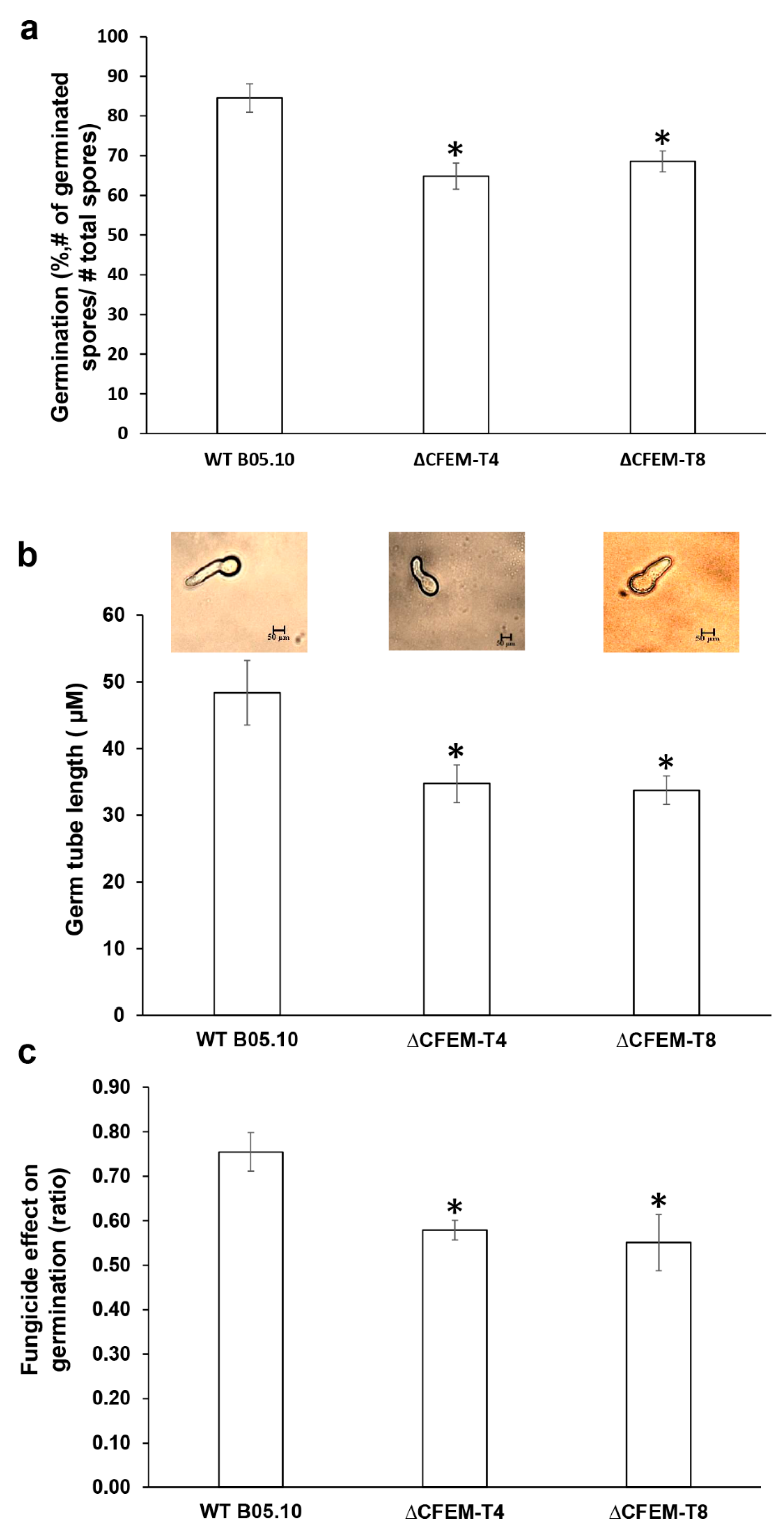 Microorganisms 08 01043 g003 Microorganisms 08 01043 g003