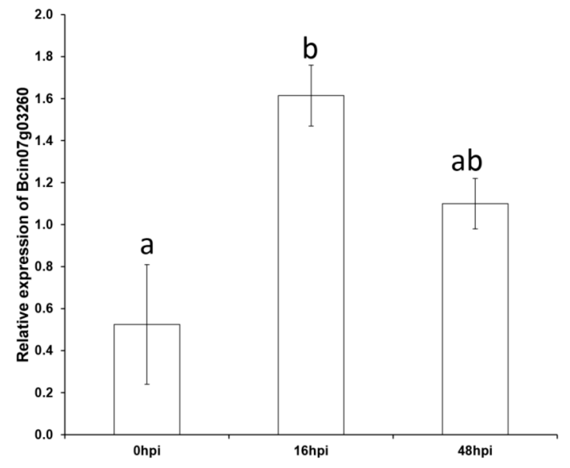 Microorganisms 08 01043 g004 Microorganisms 08 01043 g004