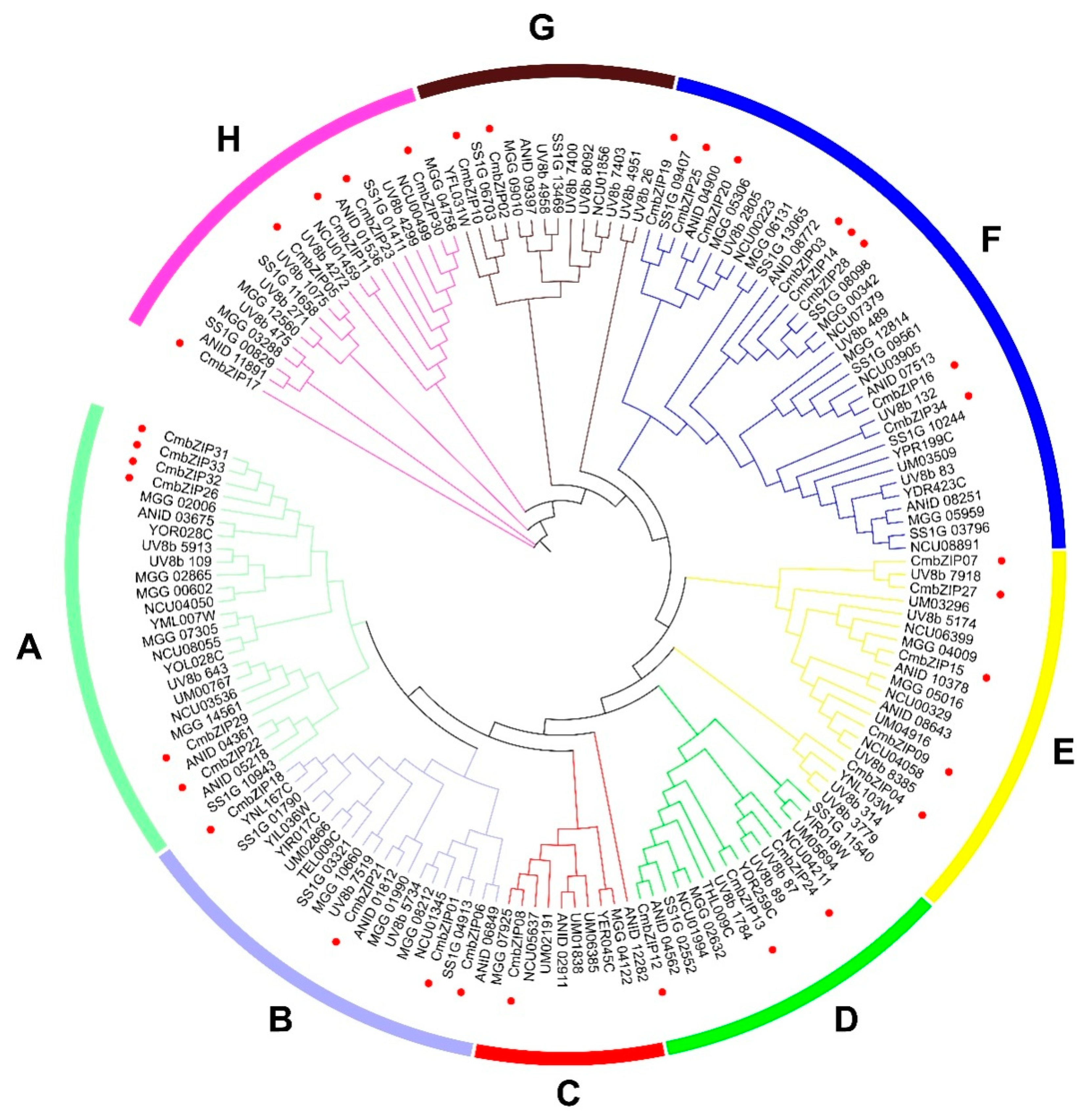 Microorganisms 08 01045 g002