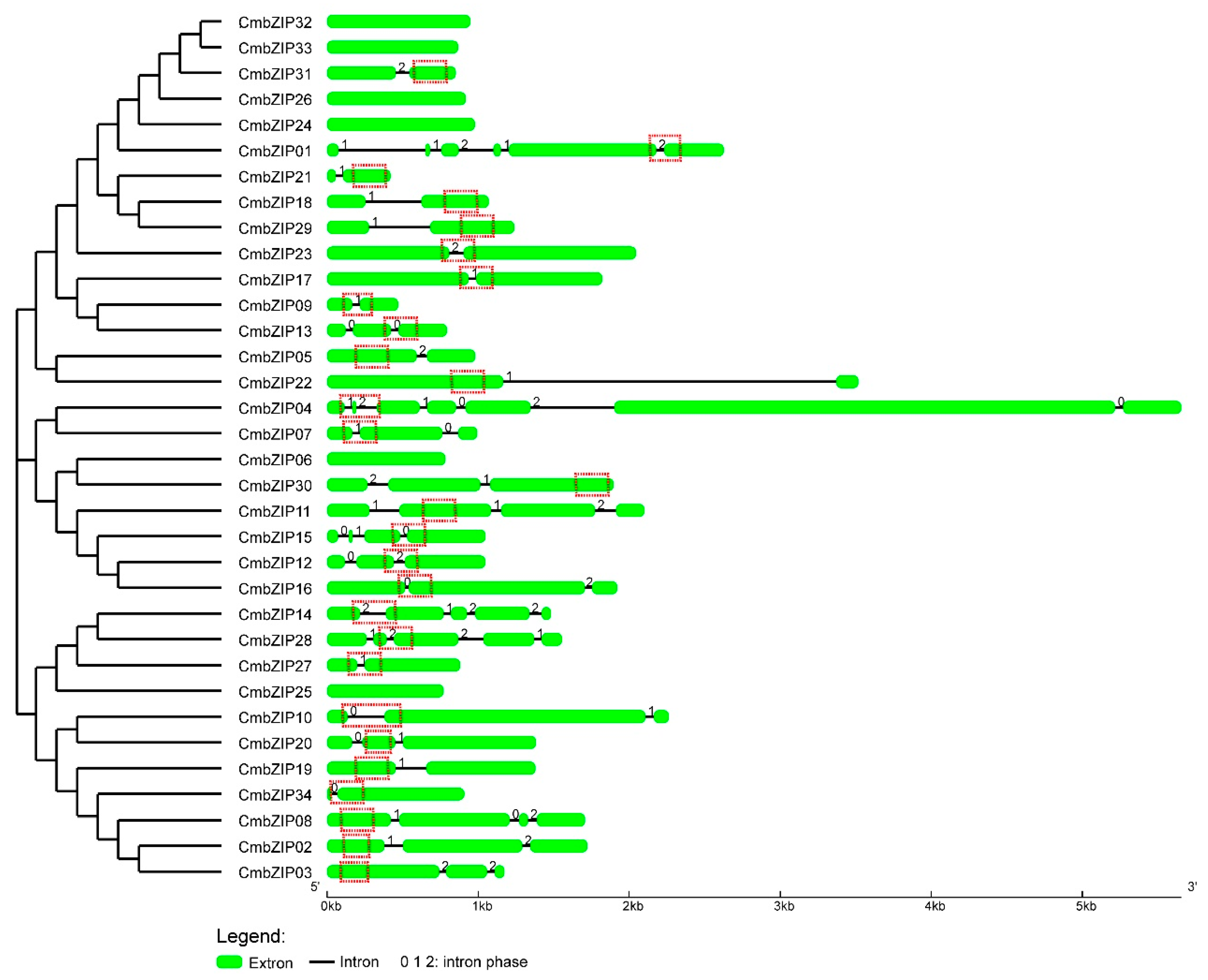 Microorganisms 08 01045 g003