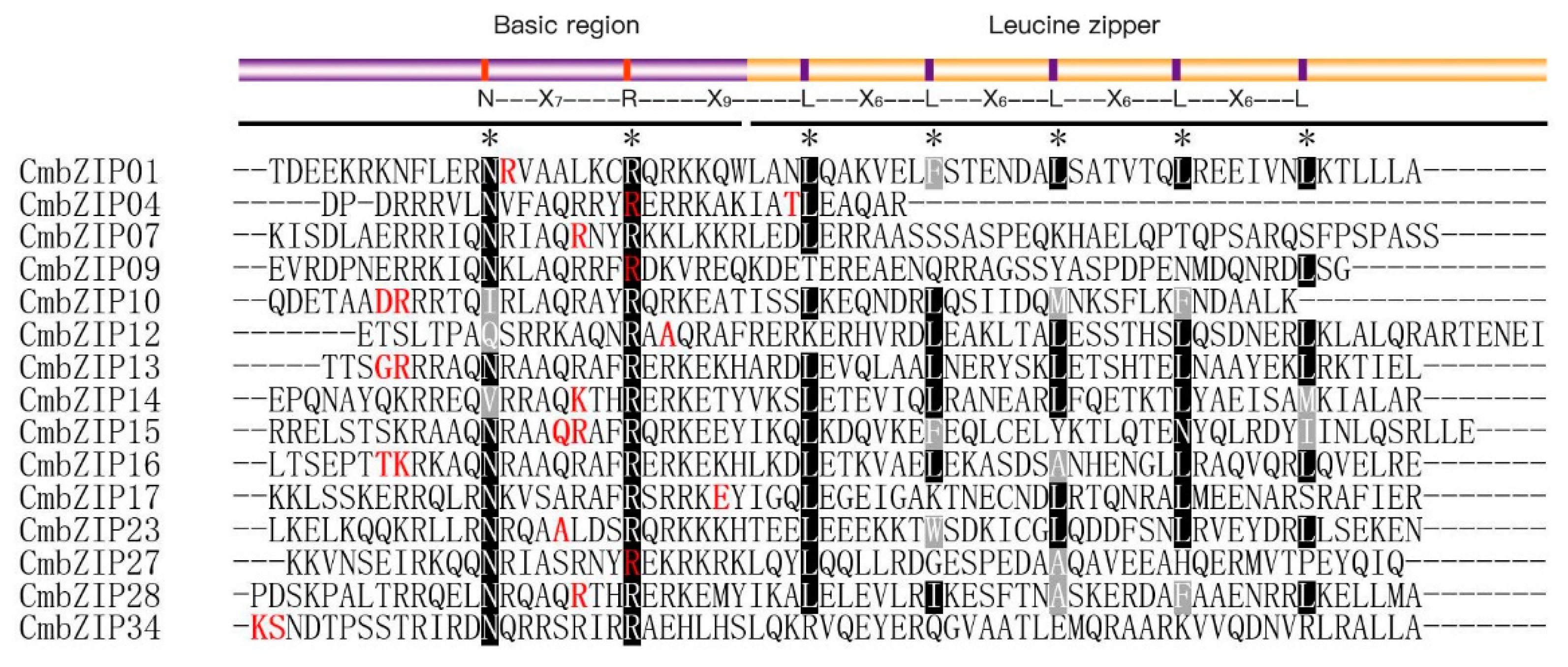 Microorganisms 08 01045 g004