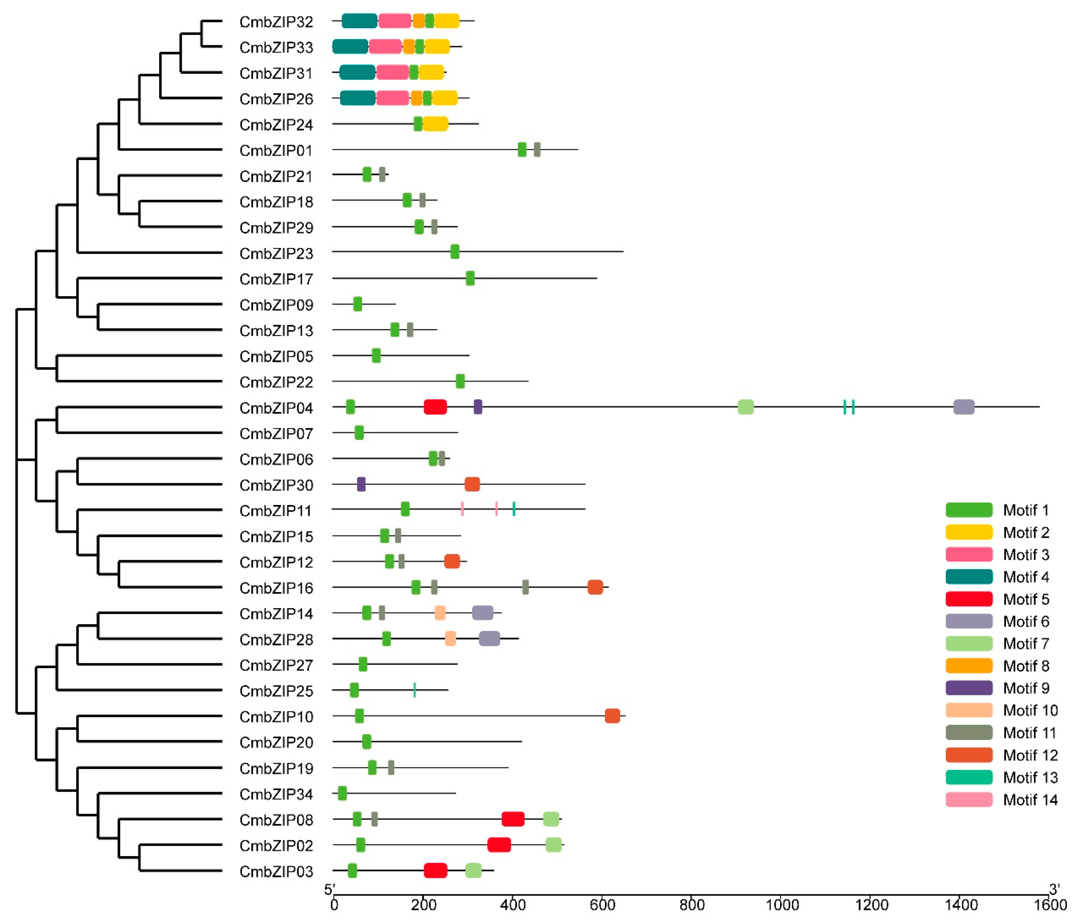 Microorganisms 08 01045 g005