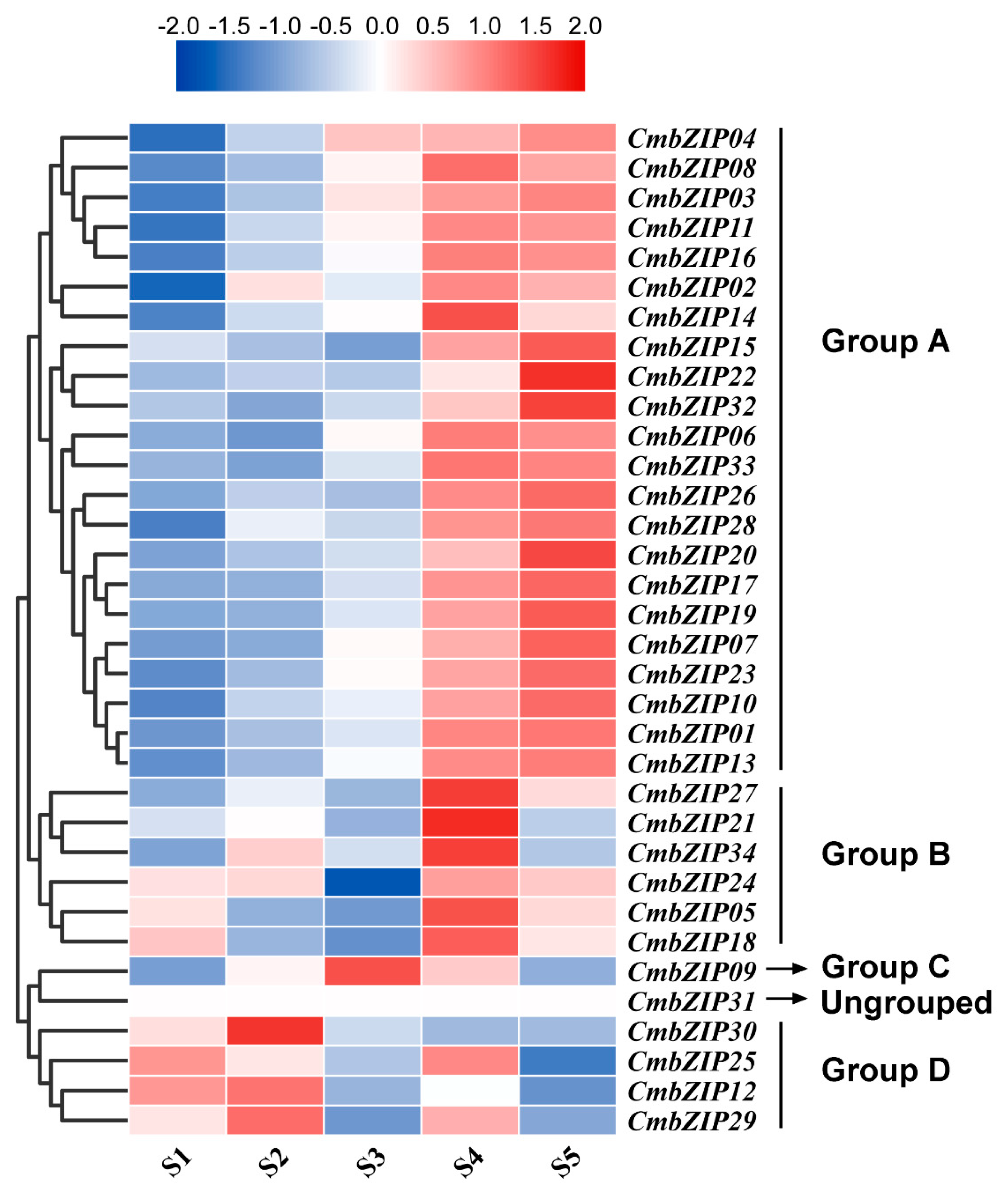 Microorganisms 08 01045 g007