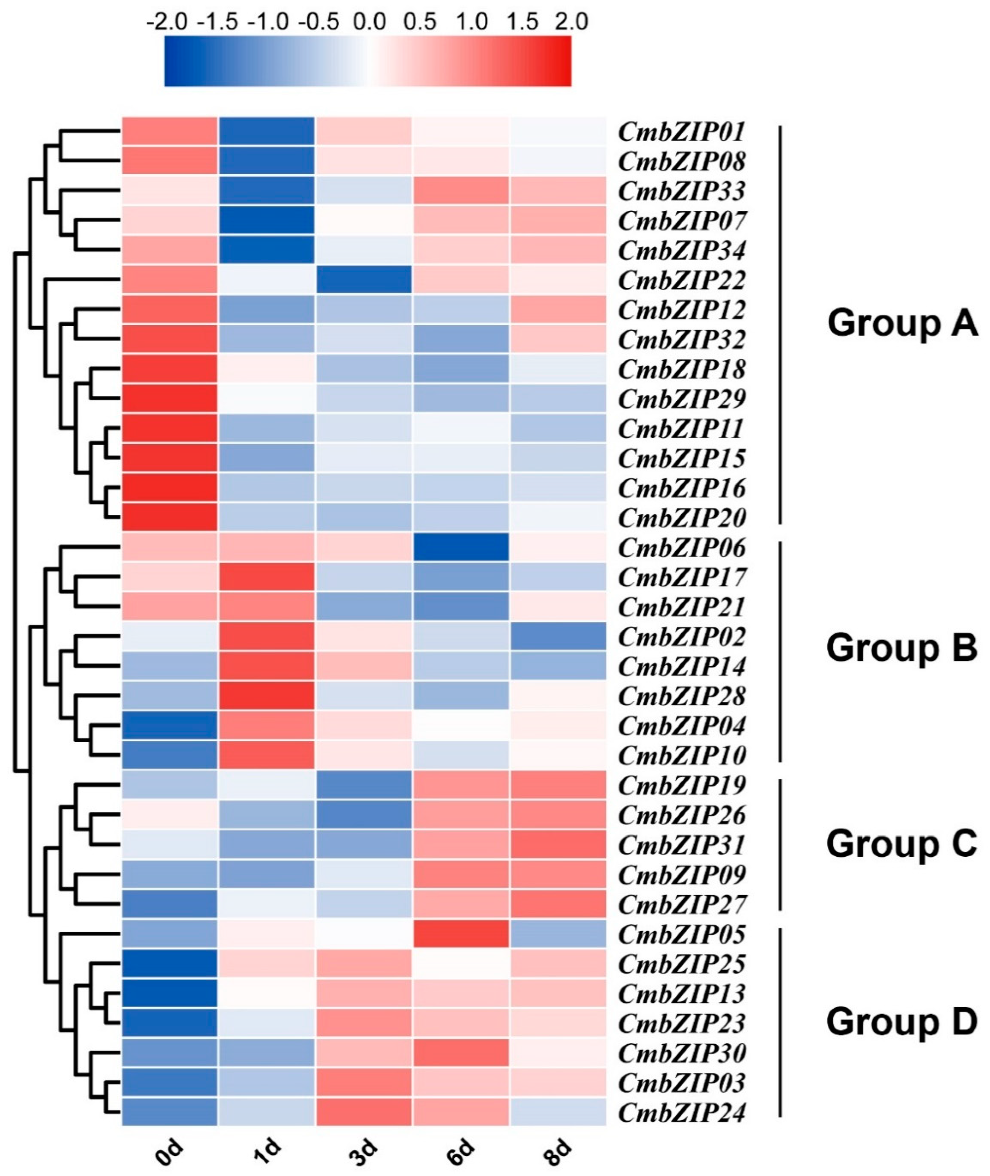 Microorganisms 08 01045 g008