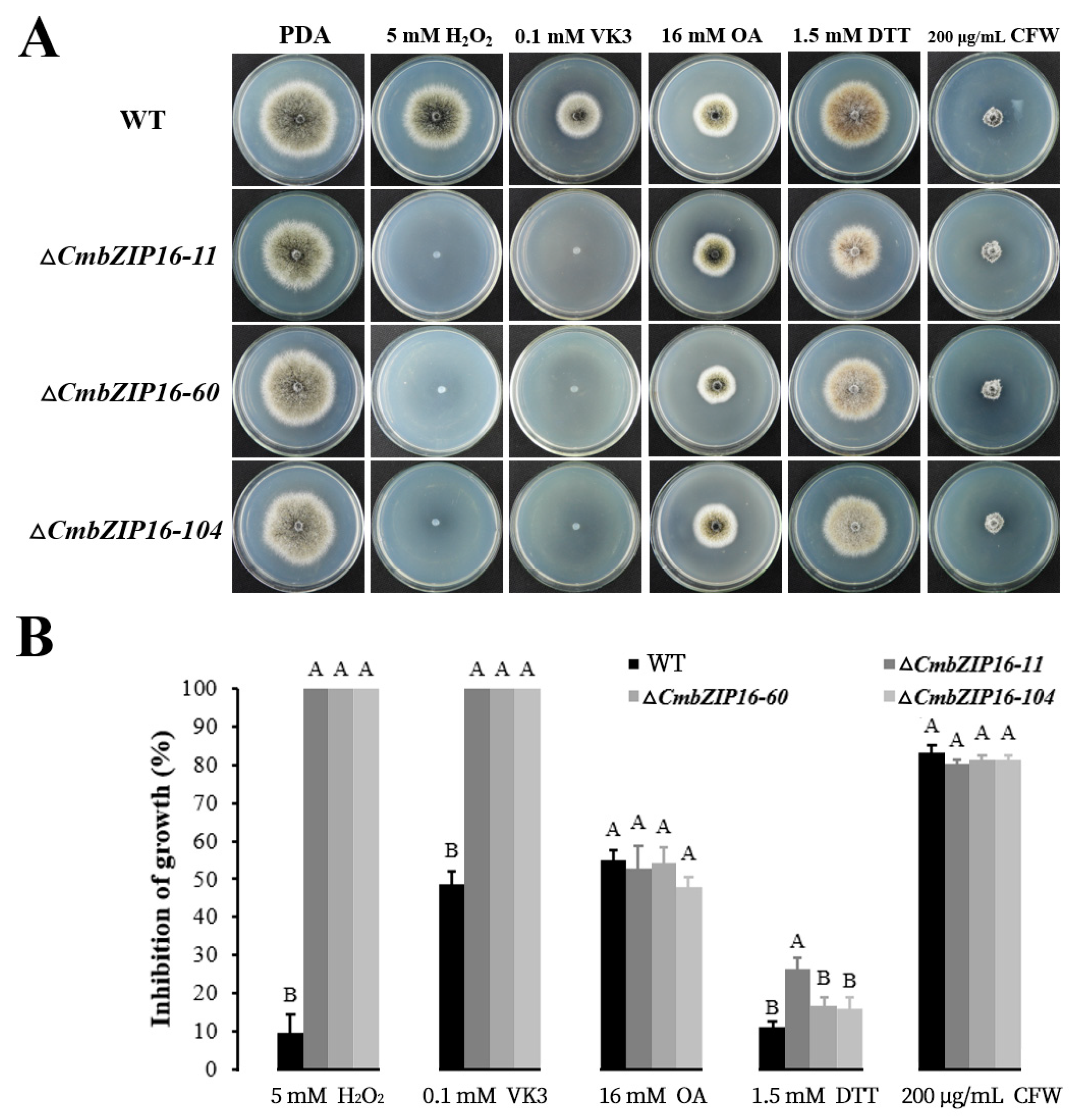 Microorganisms 08 01045 g009