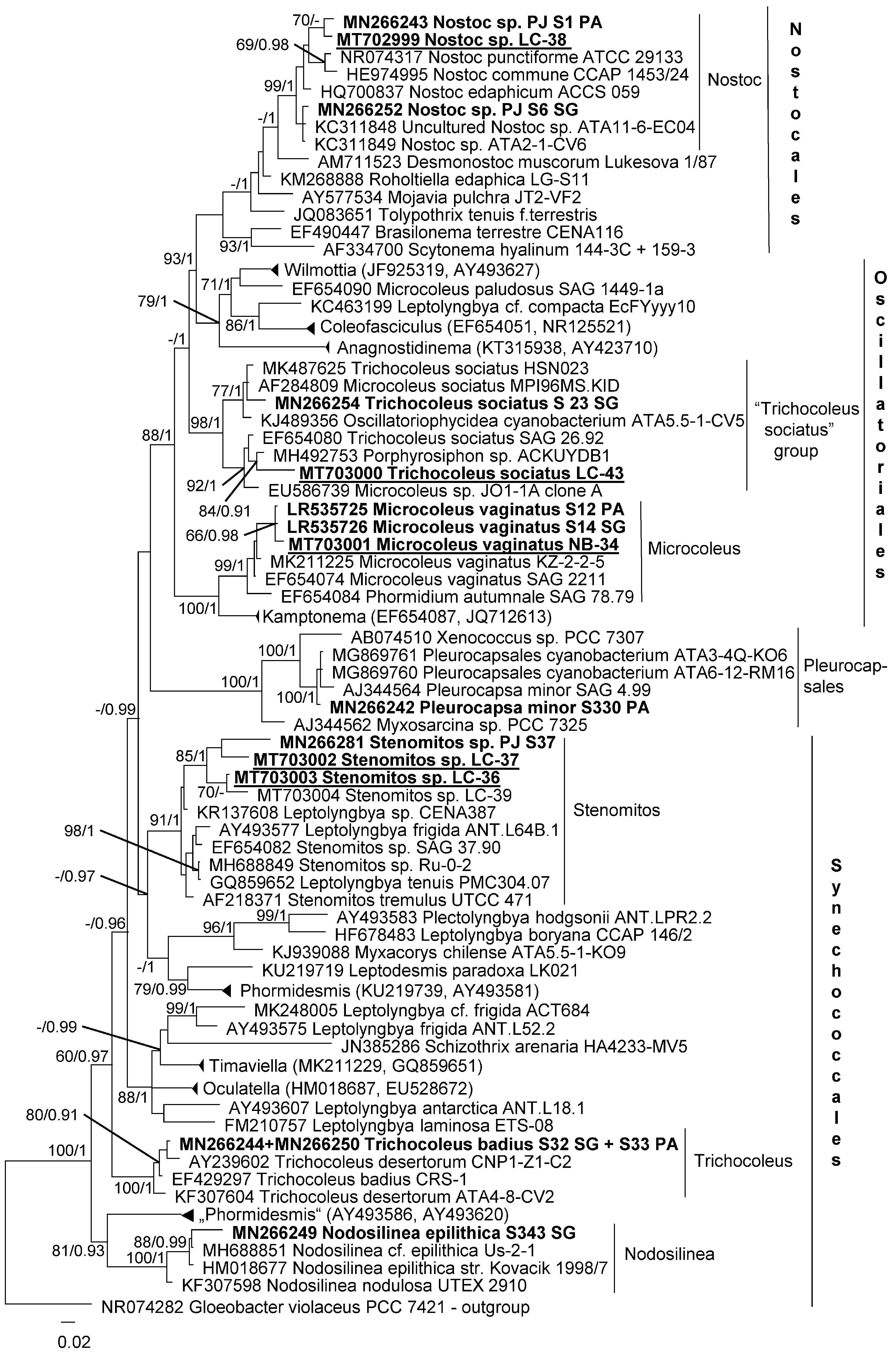 Microorganisms 08 01047 g010 Microorganisms 08 01047 g010