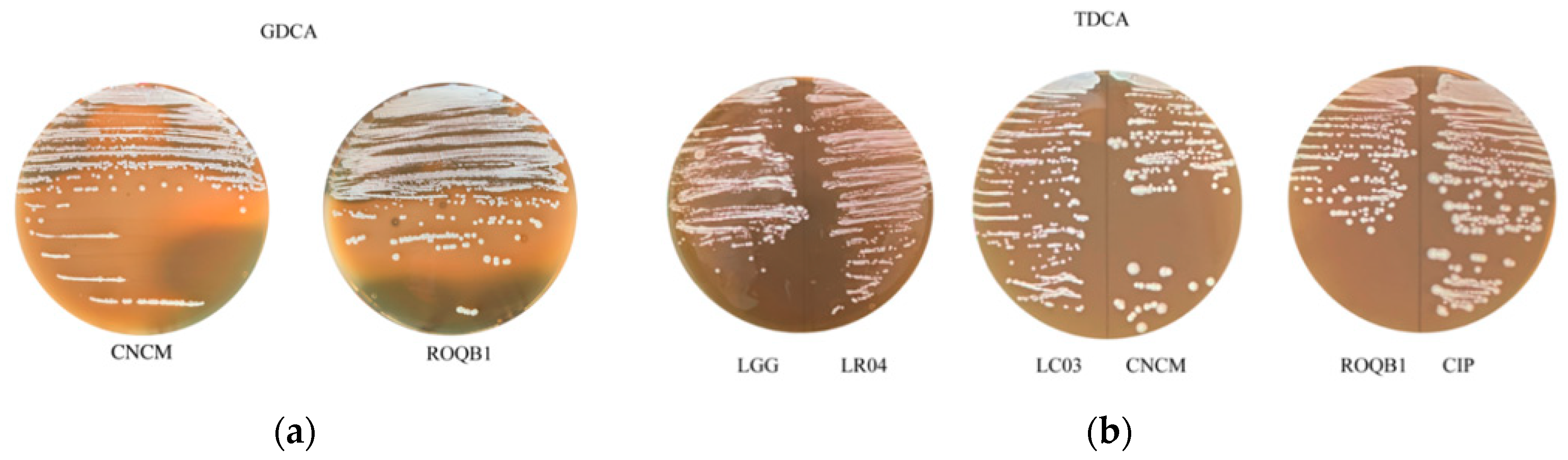 Microorganisms 08 01053 g005 Microorganisms 08 01053 g005