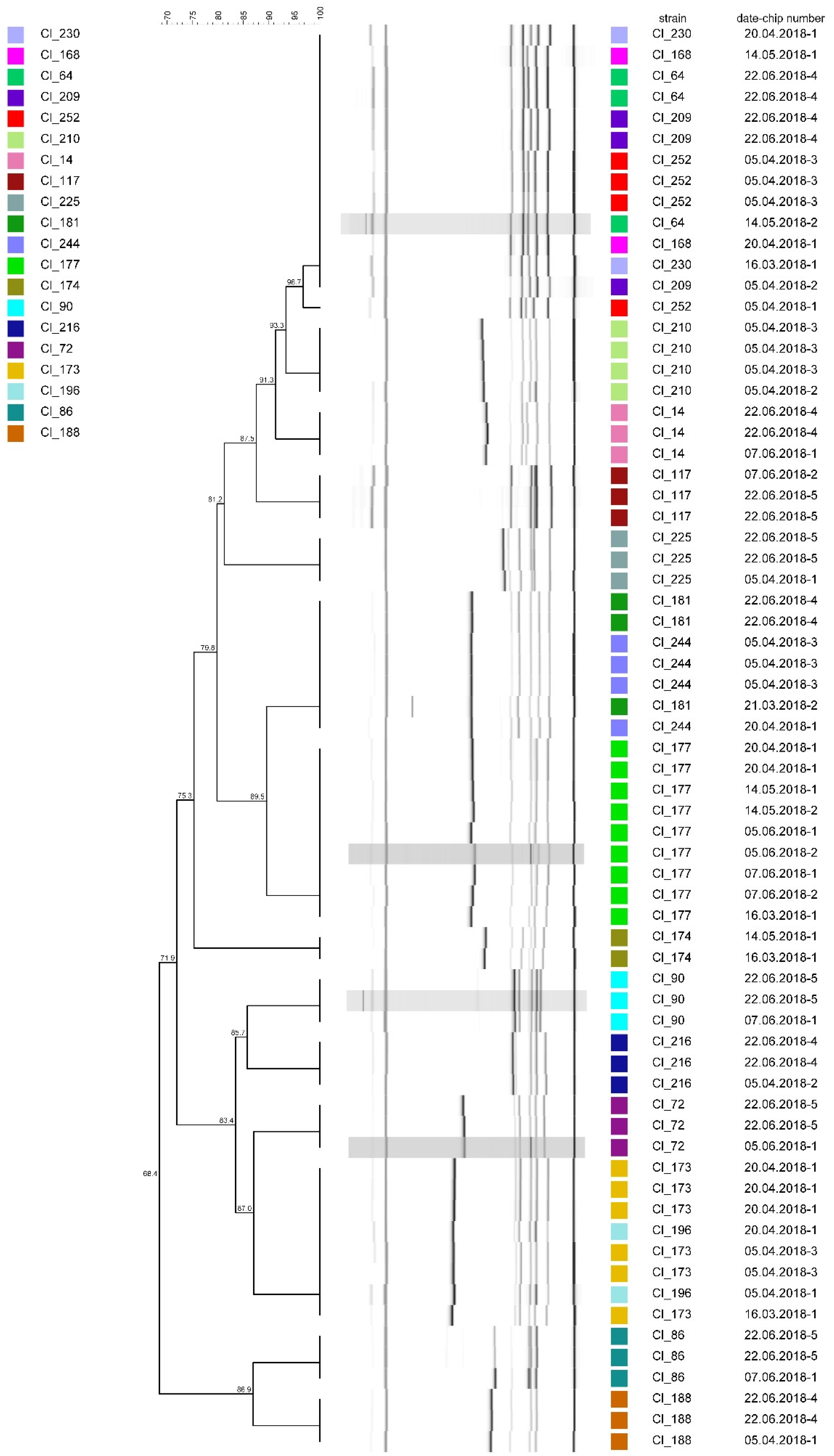 Microorganisms 08 01057 g002 Microorganisms 08 01057 g002