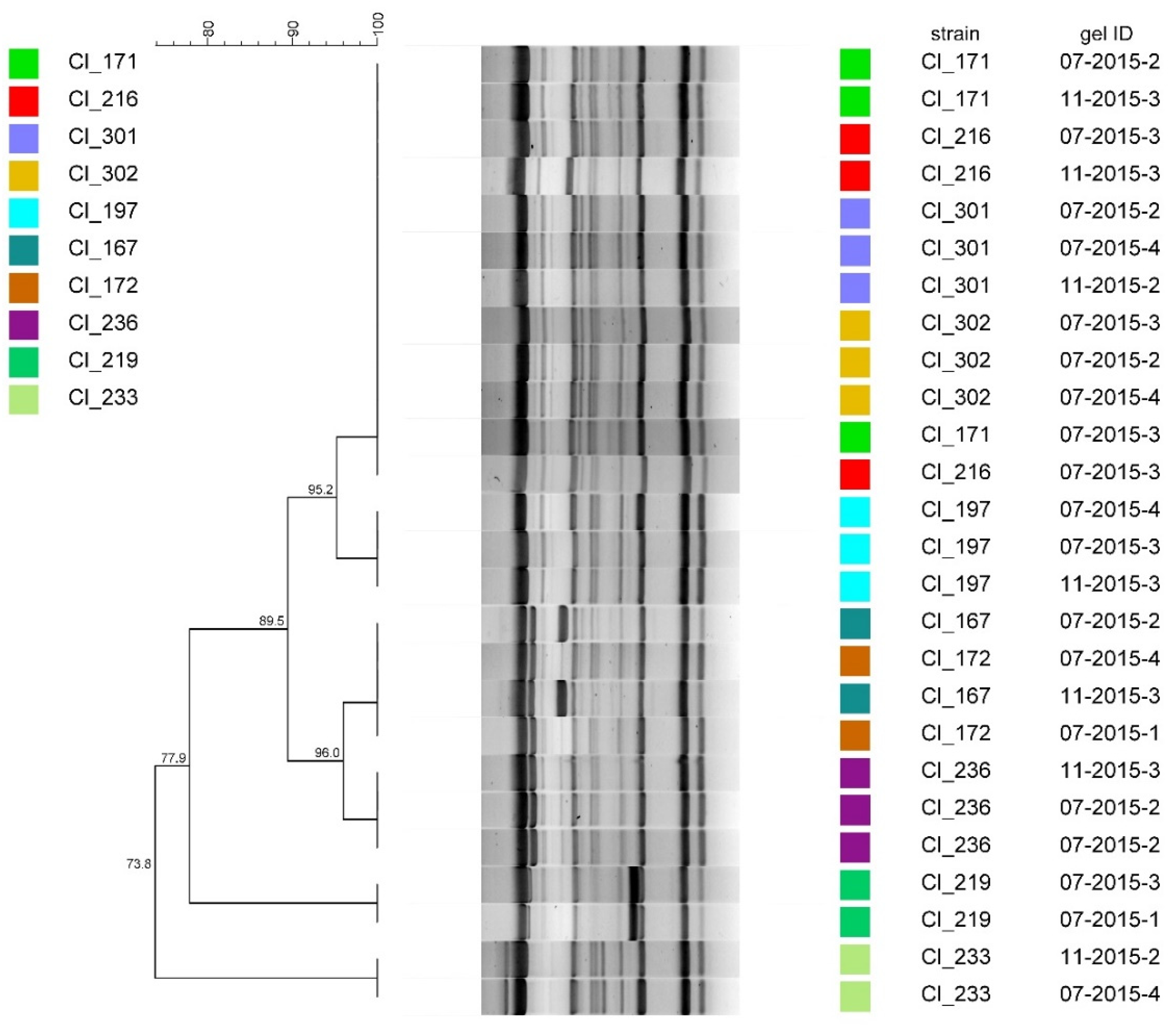 Microorganisms 08 01057 g003 Microorganisms 08 01057 g003