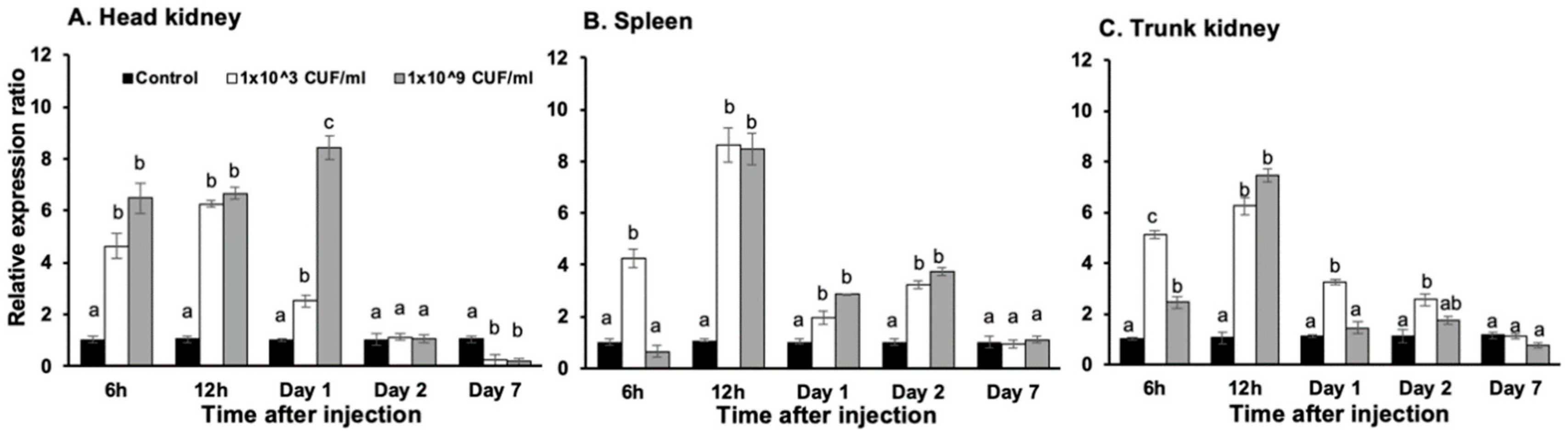 Microorganisms 08 01058 g004