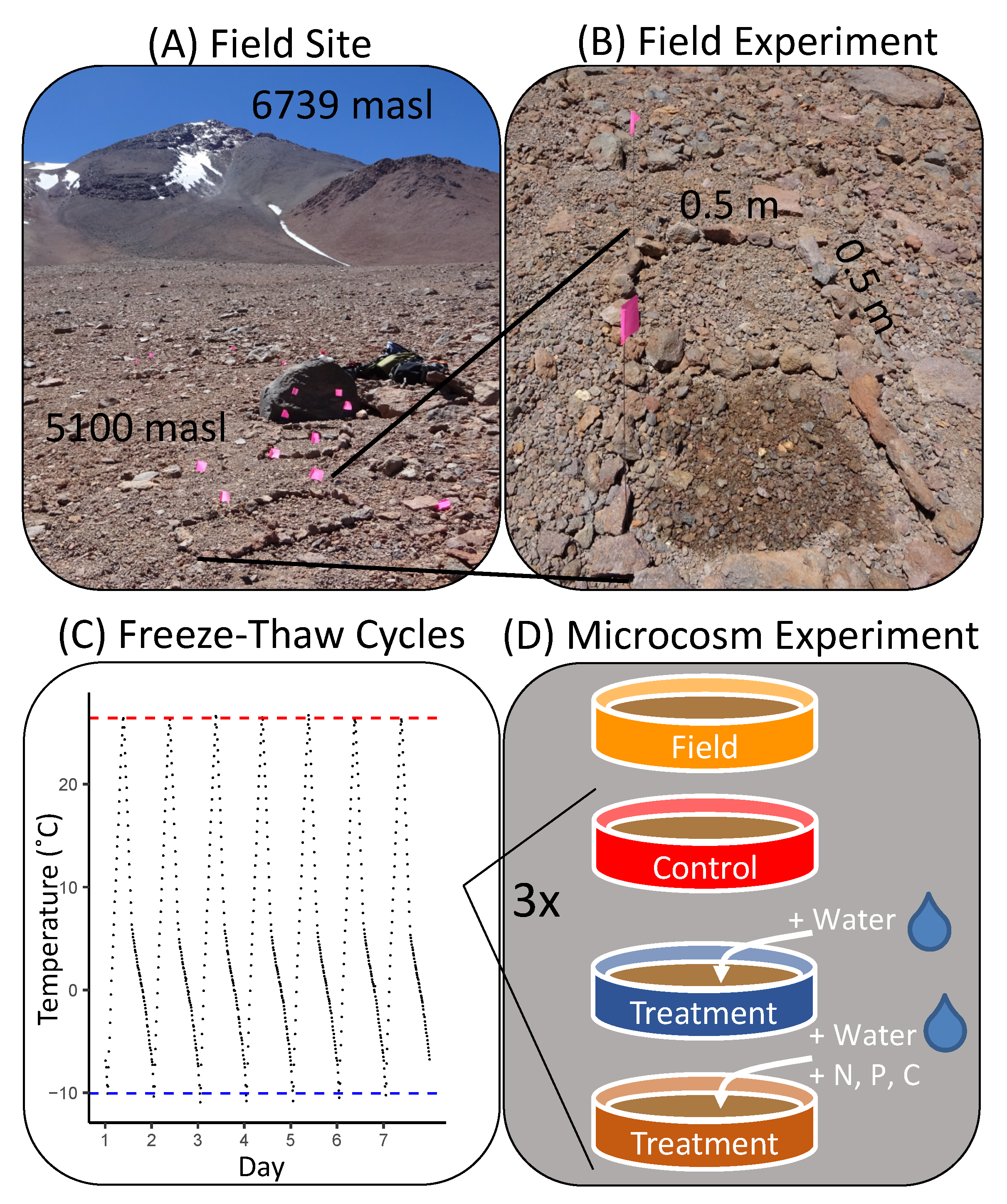 Microorganisms 08 01061 g001