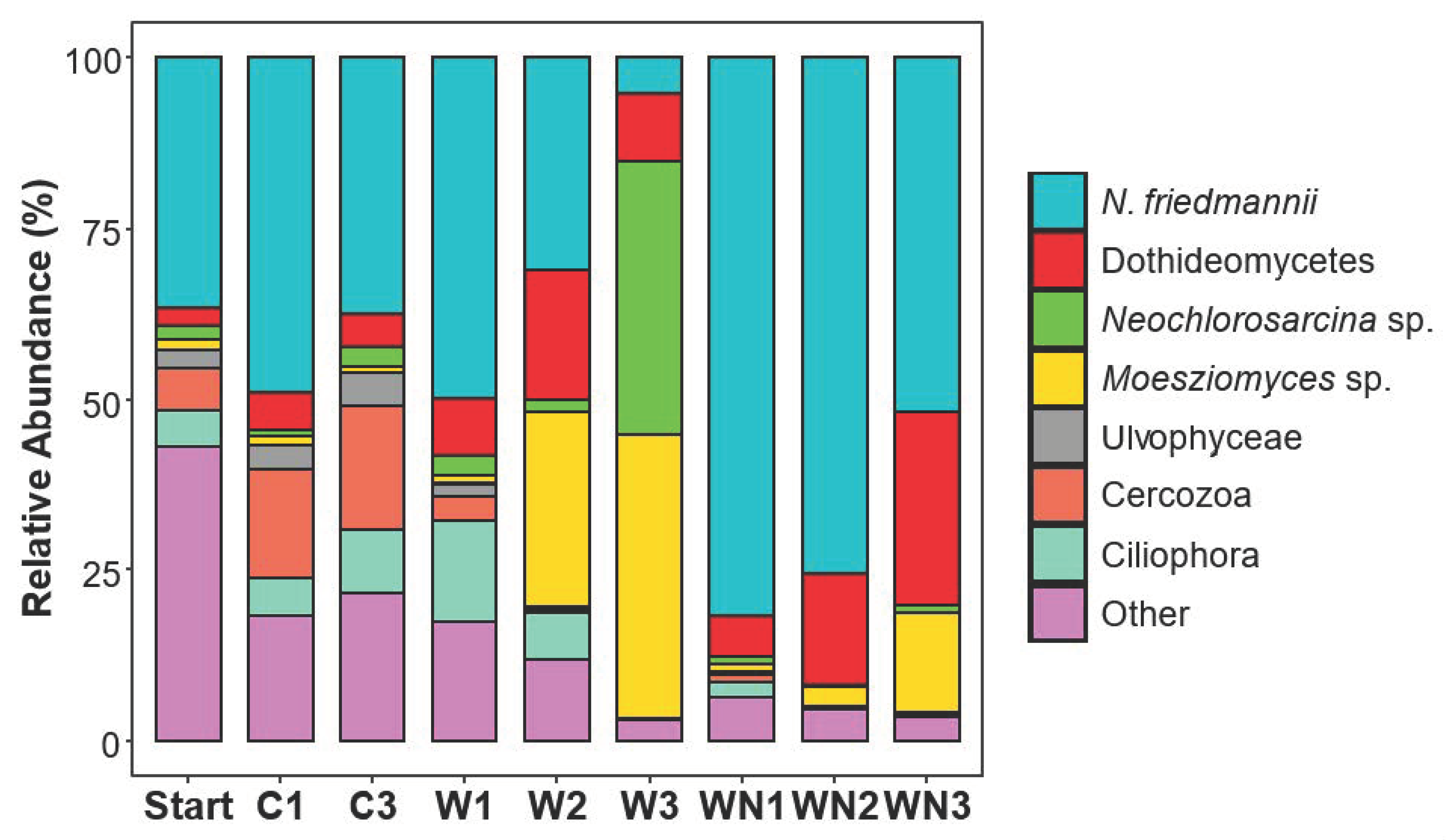 Microorganisms 08 01061 g002