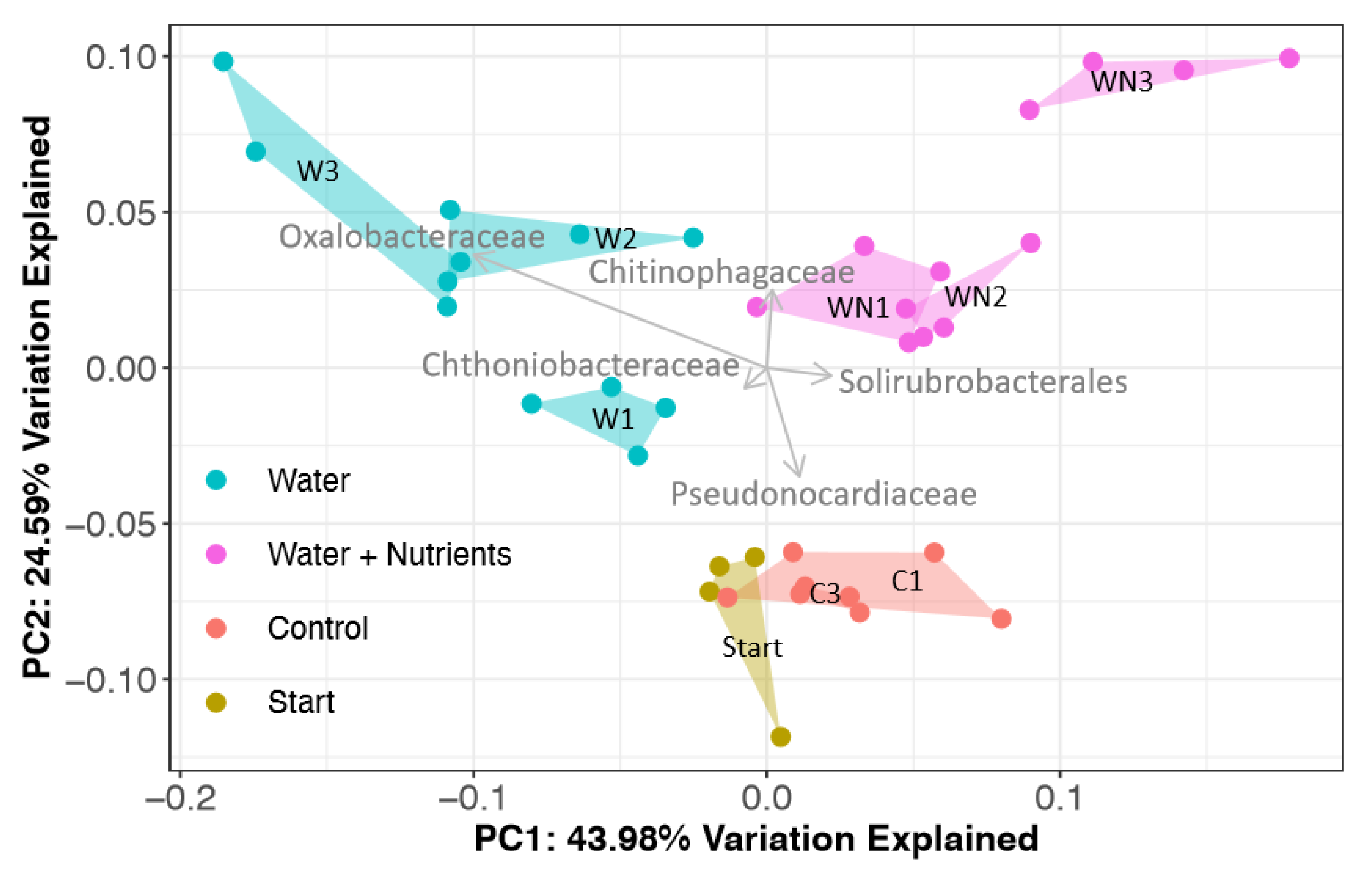 Microorganisms 08 01061 g005