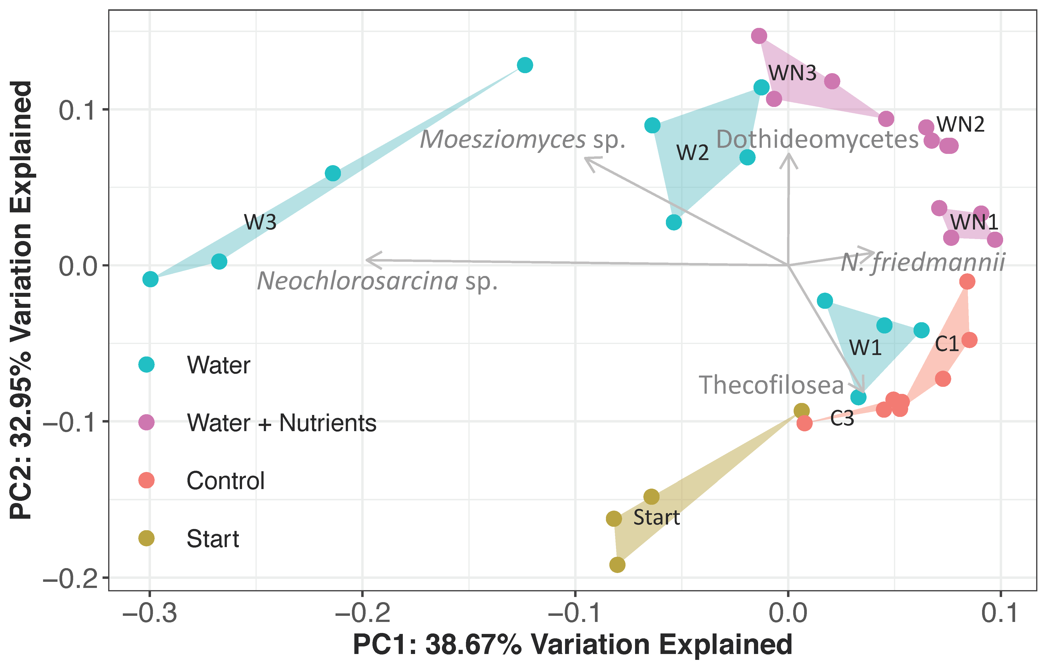 Microorganisms 08 01061 g006