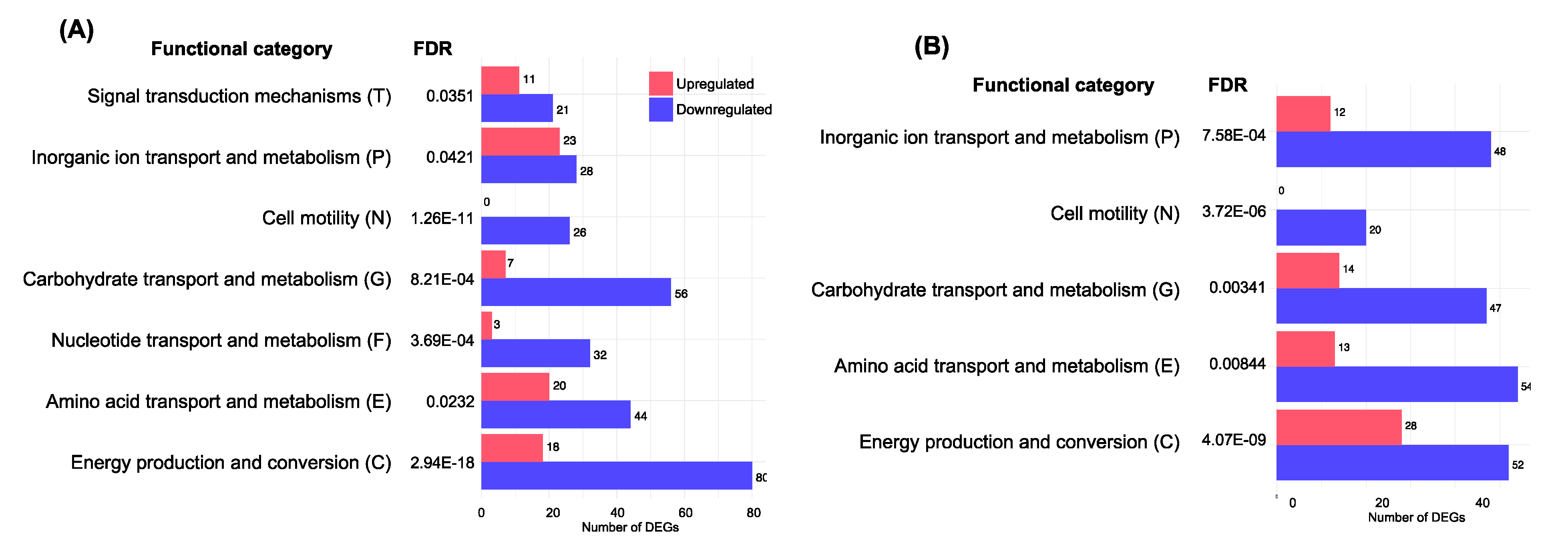 Microorganisms 08 01068 g004