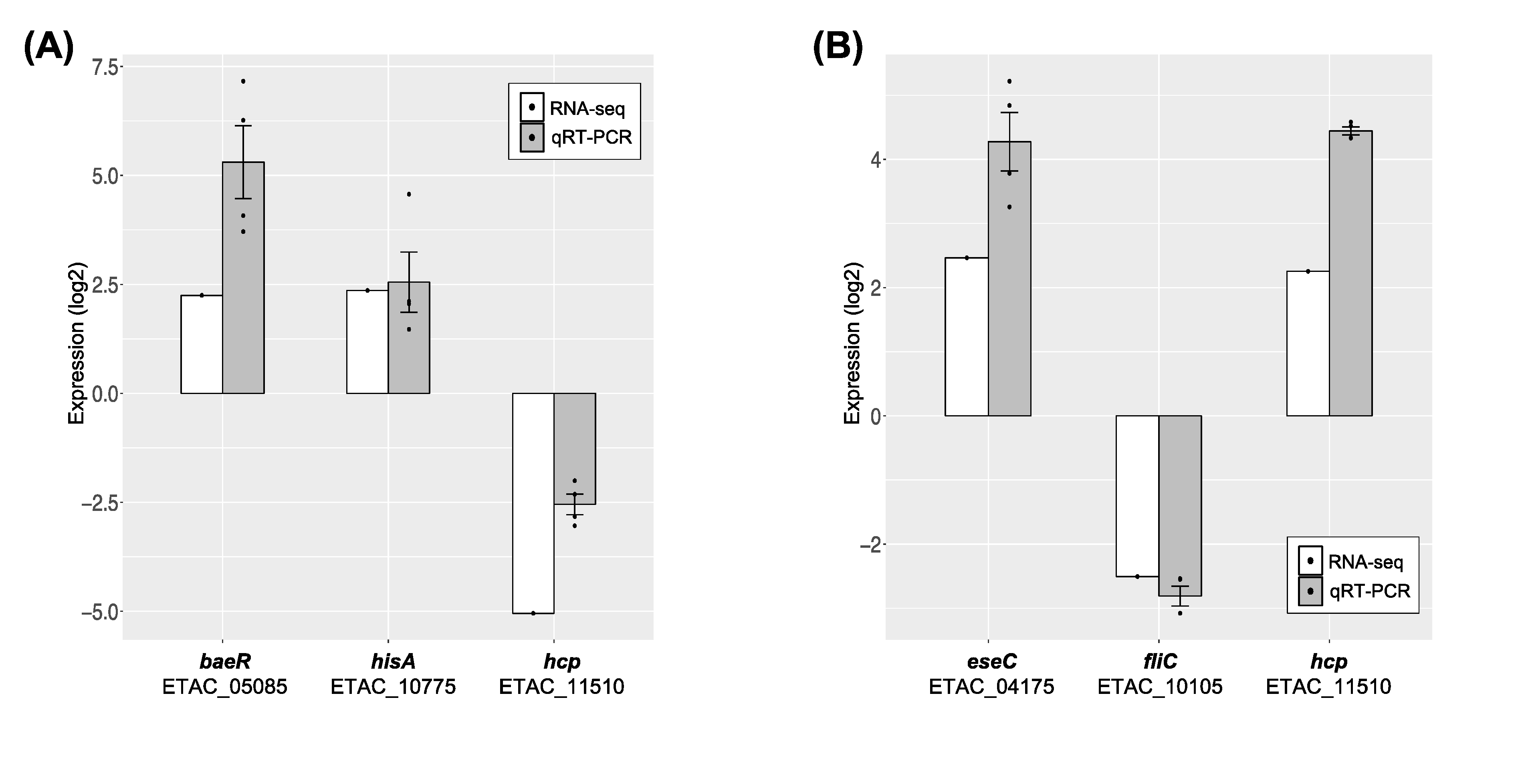 Microorganisms 08 01068 g006