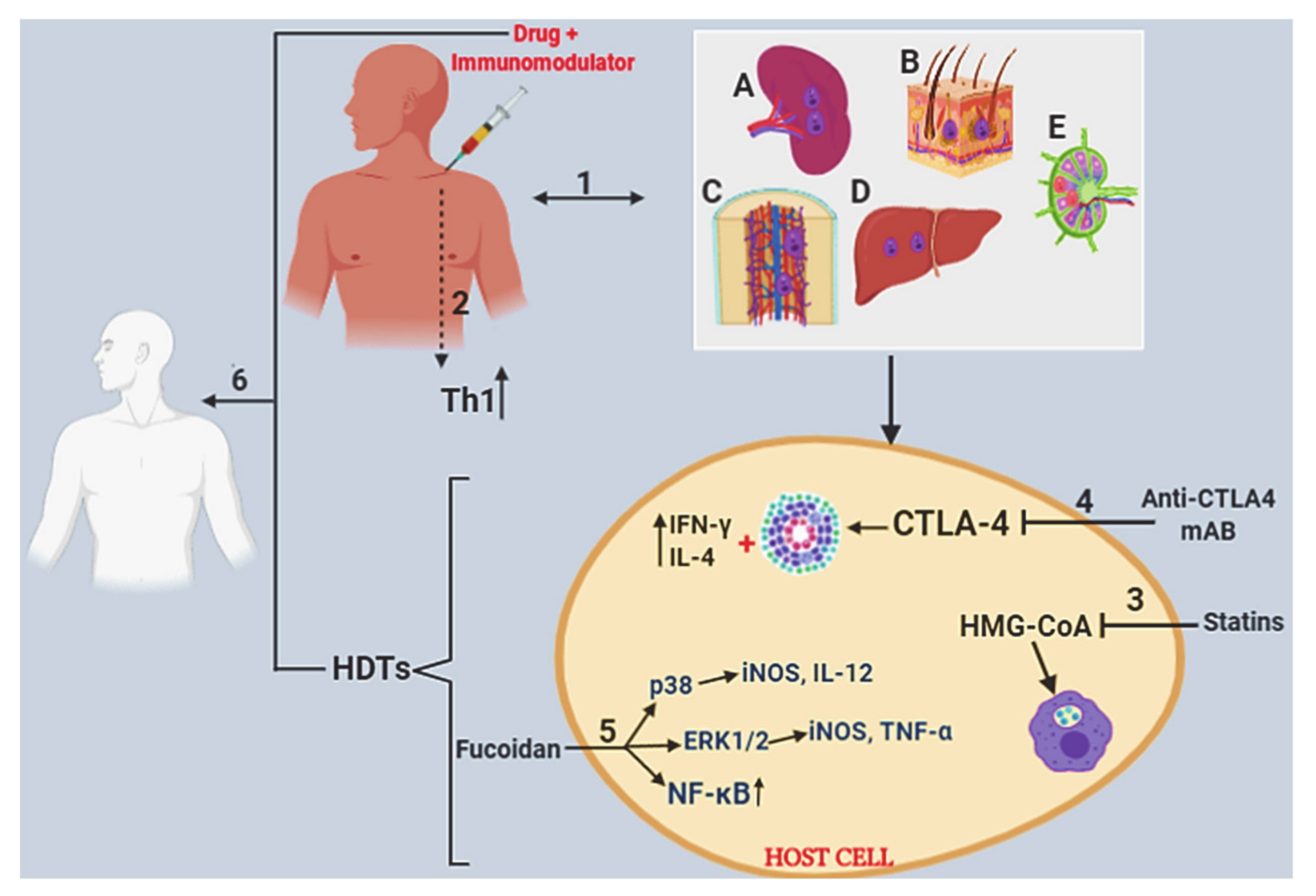 Microorganisms 08 01069 g002 Microorganisms 08 01069 g002