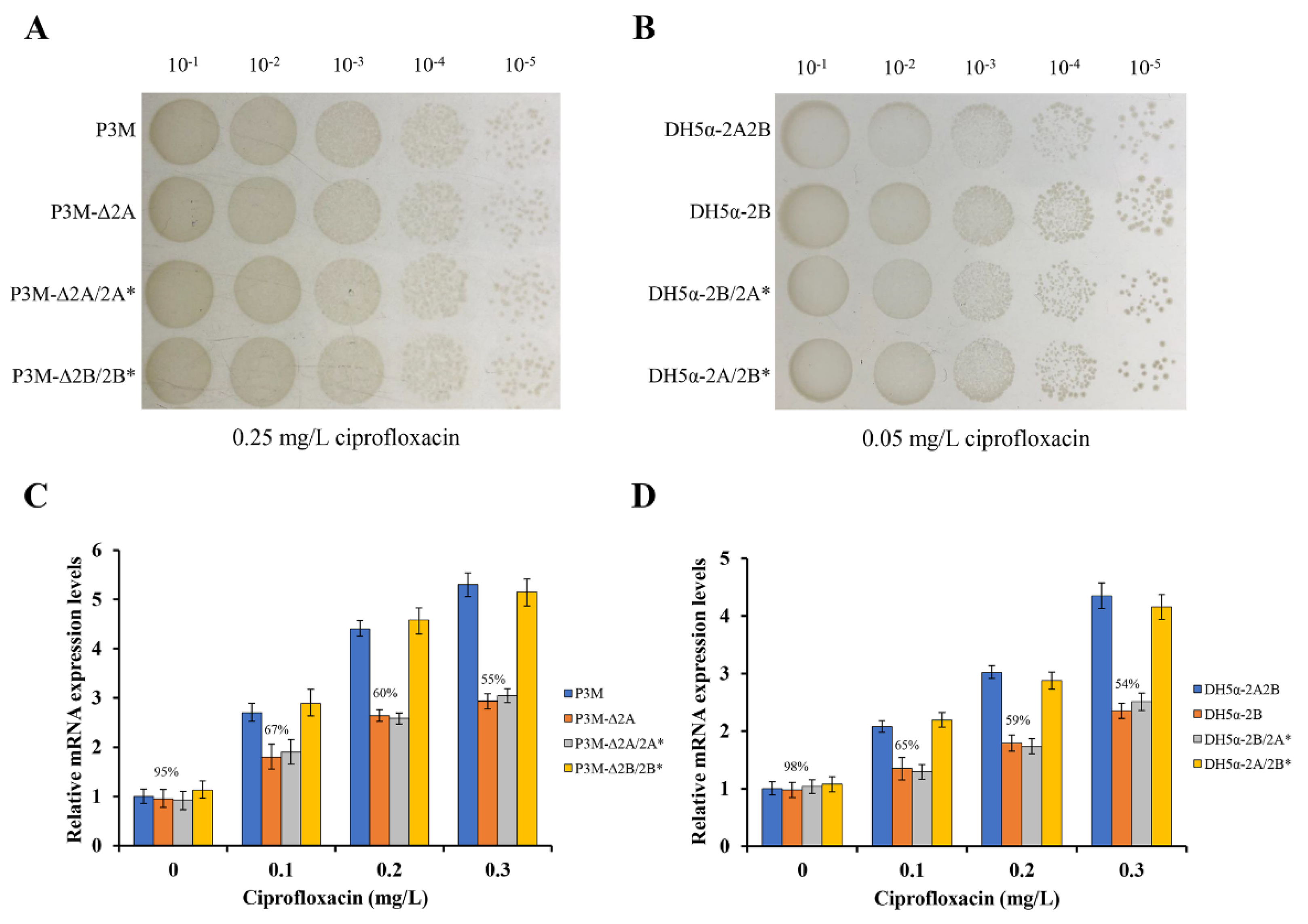 Microorganisms 08 01074 g002