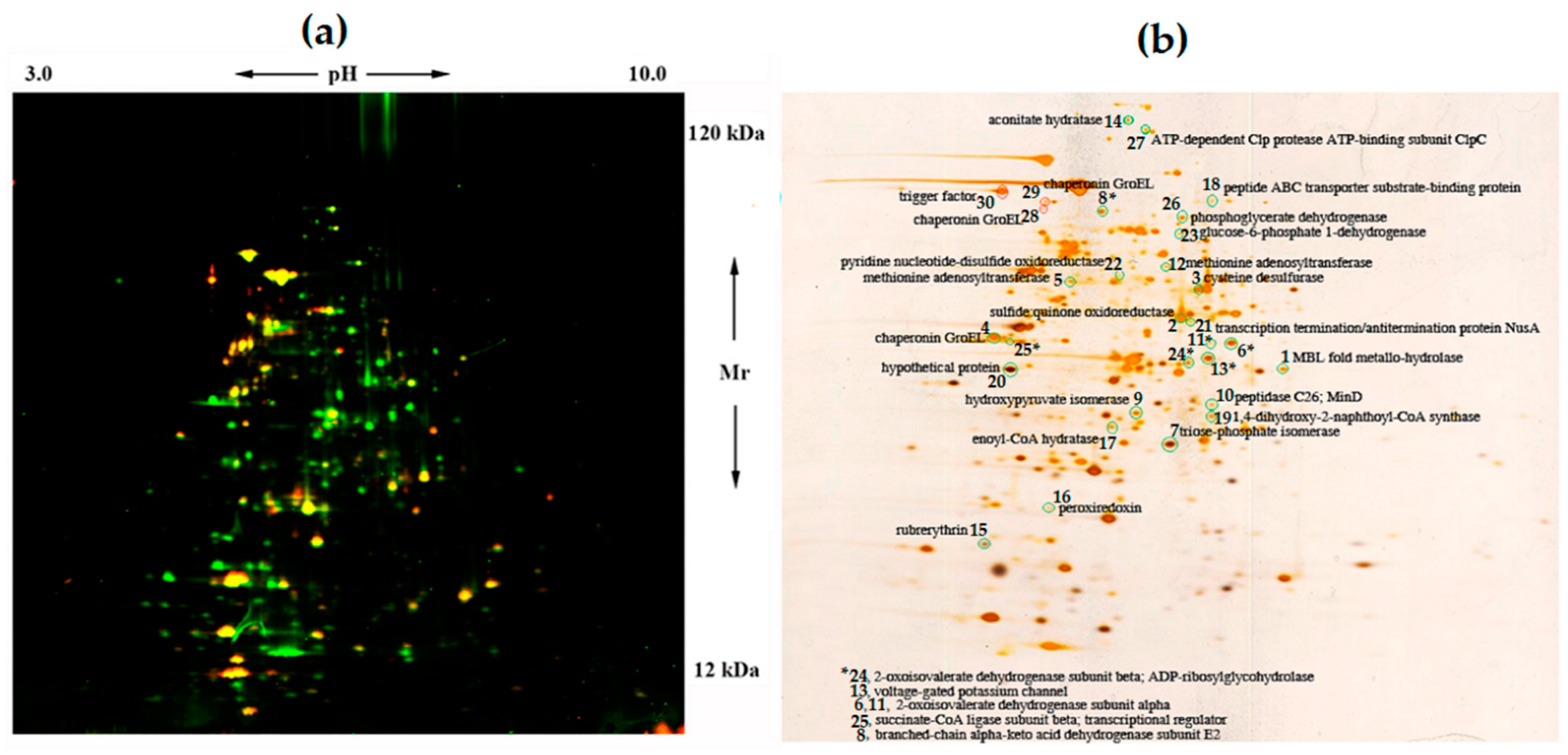 Microorganisms 08 01076 g001