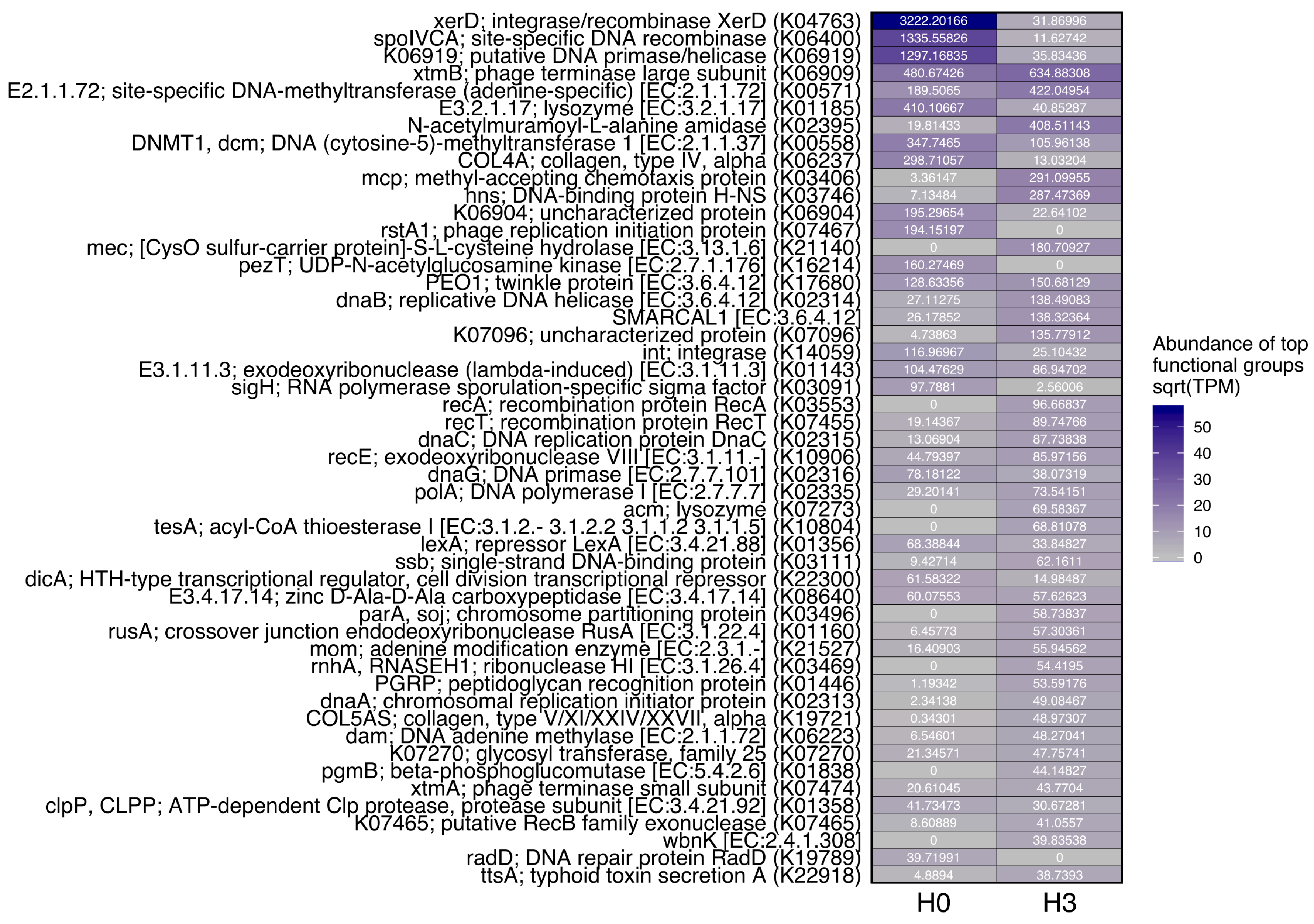 Microorganisms 08 01077 g004