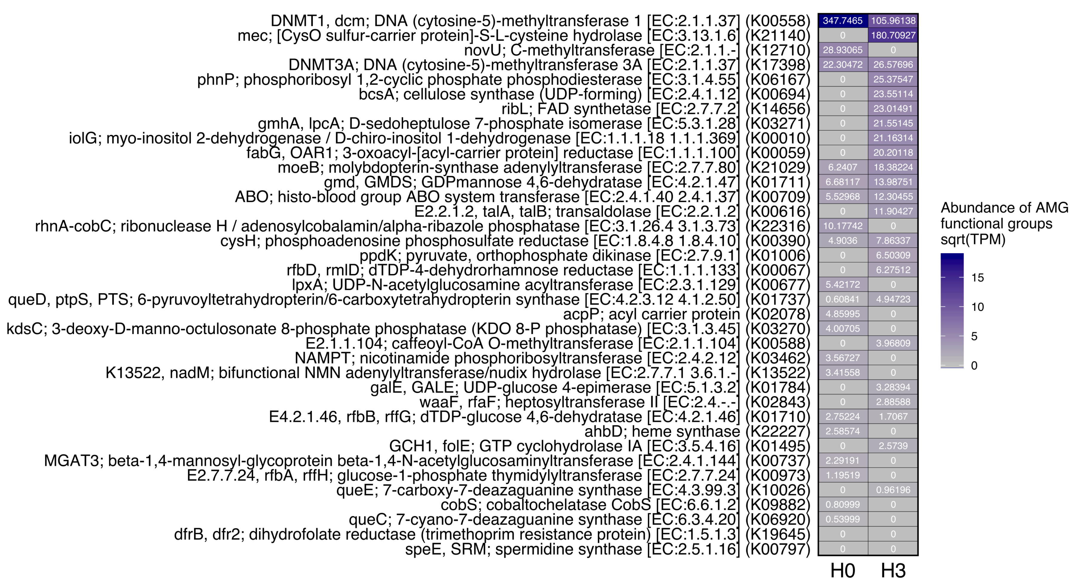 Microorganisms 08 01077 g005