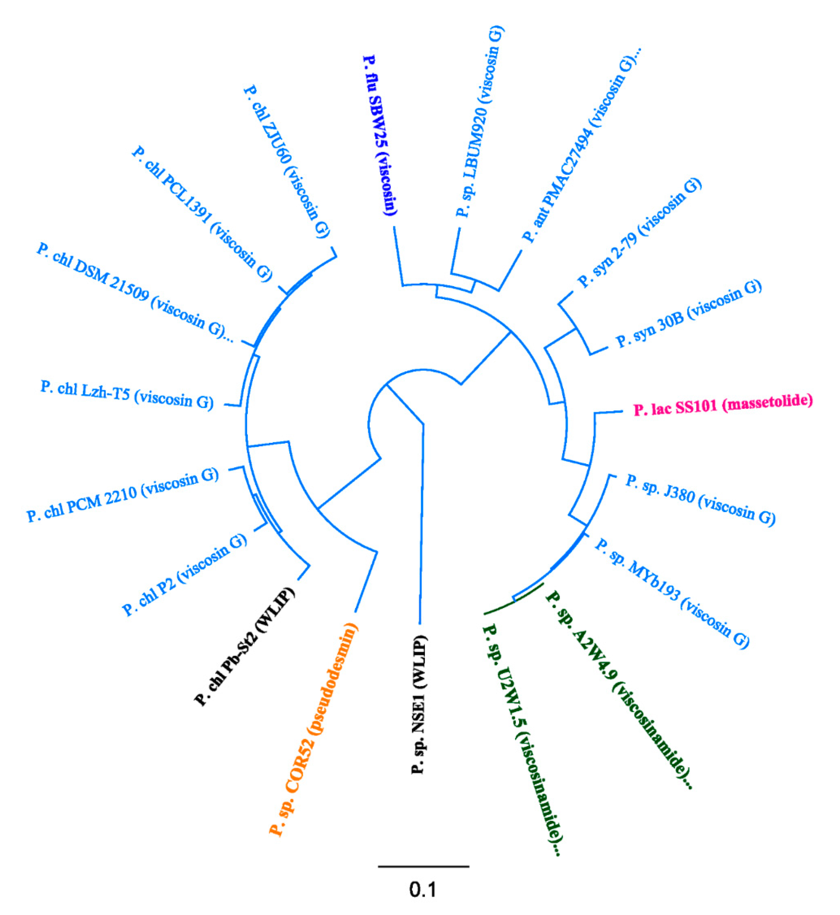 Microorganisms 08 01079 g003