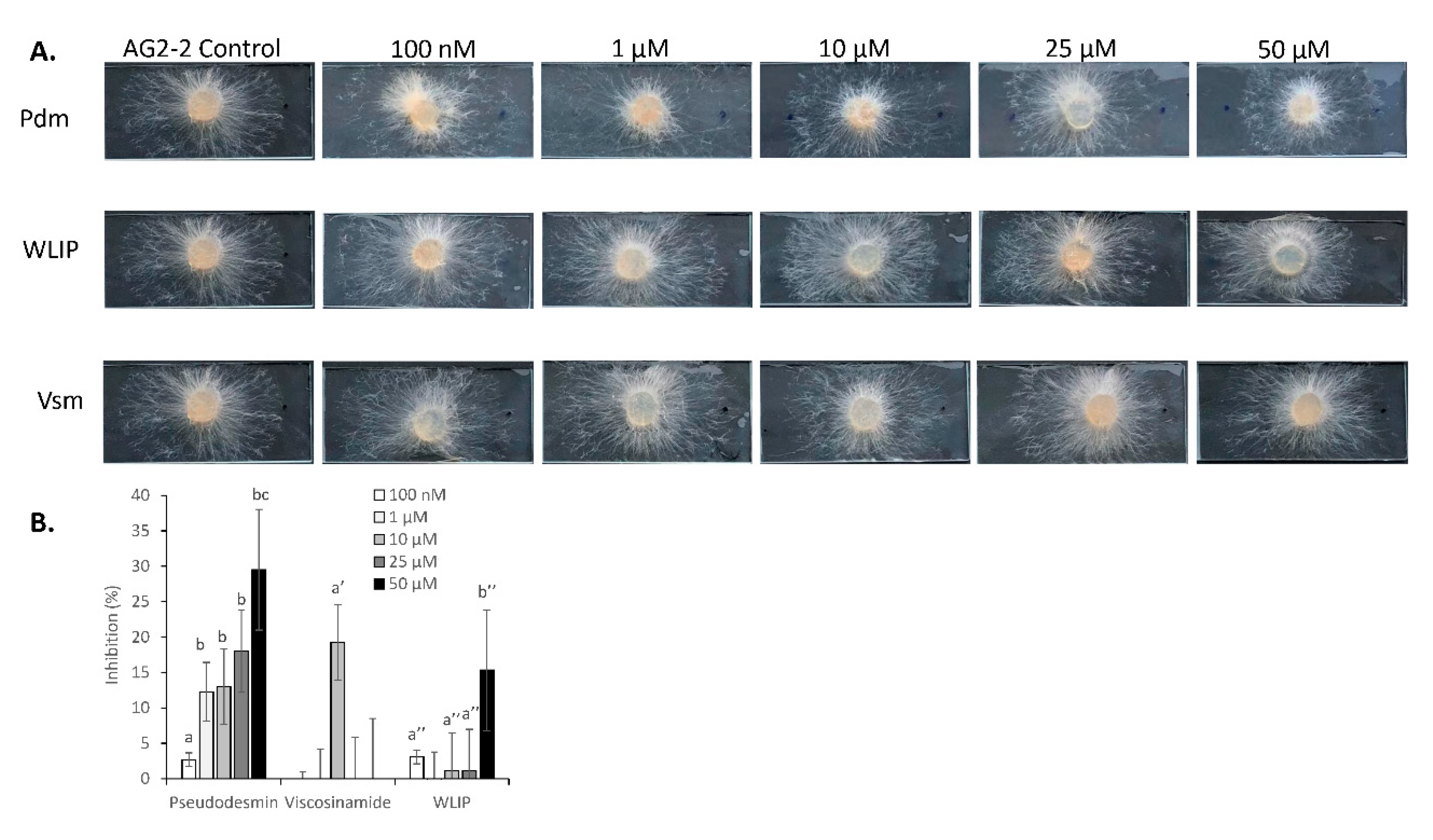Microorganisms 08 01079 g008a