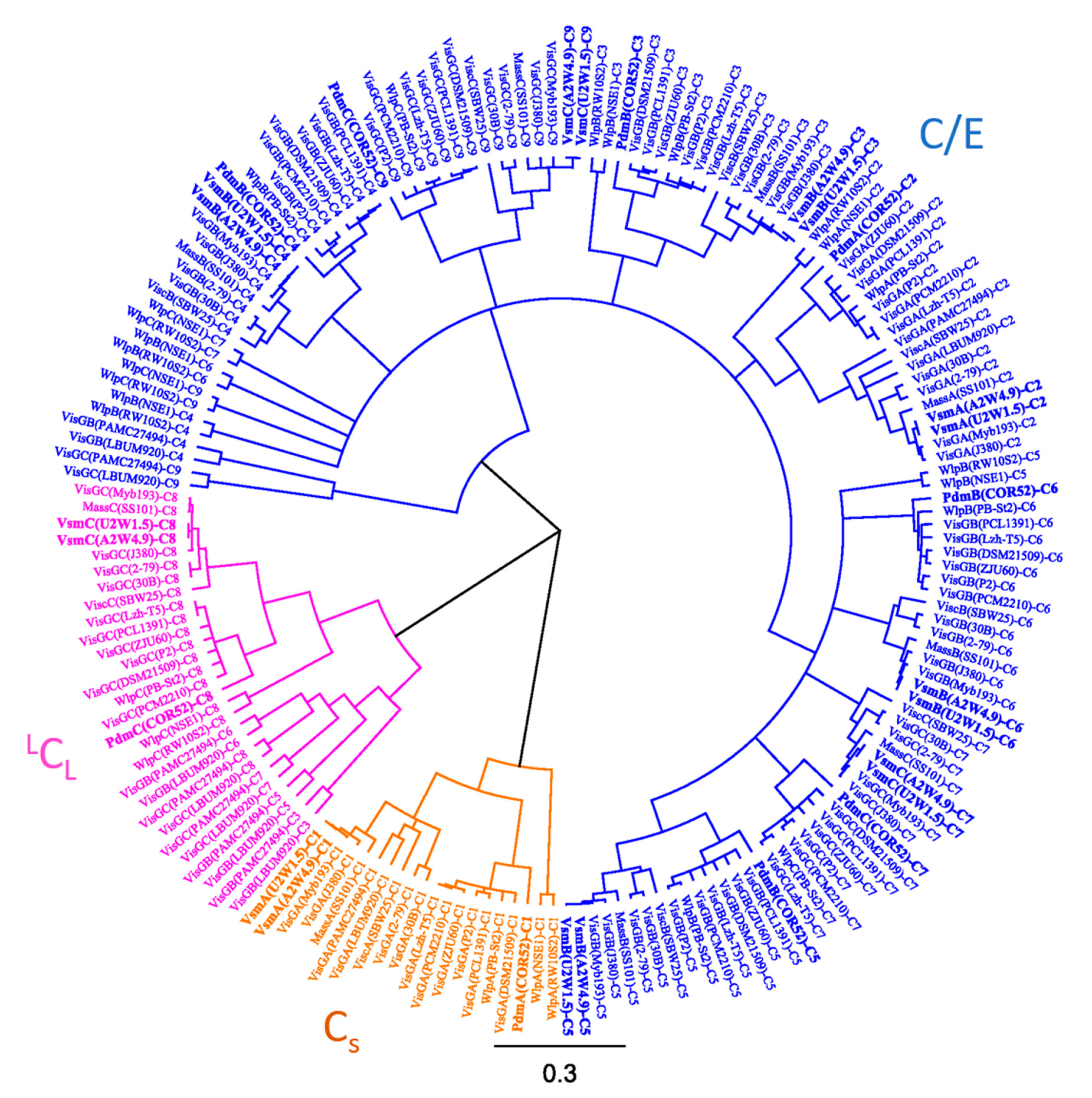 Microorganisms Free Full Text Biosynthesis And Antimicrobial Activity Of Pseudodesmin And Viscosinamide Cyclic Lipopeptides Produced By Pseudomonads Associated With The Cocoyam Rhizosphere Html Microorganisms Free Full Text Biosynthesis And Antimicrobial Activity Of Pseudodesmin And Viscosinamide Cyclic Lipopeptides Produced By Pseudomonads Associated With The Cocoyam Rhizosphere Html