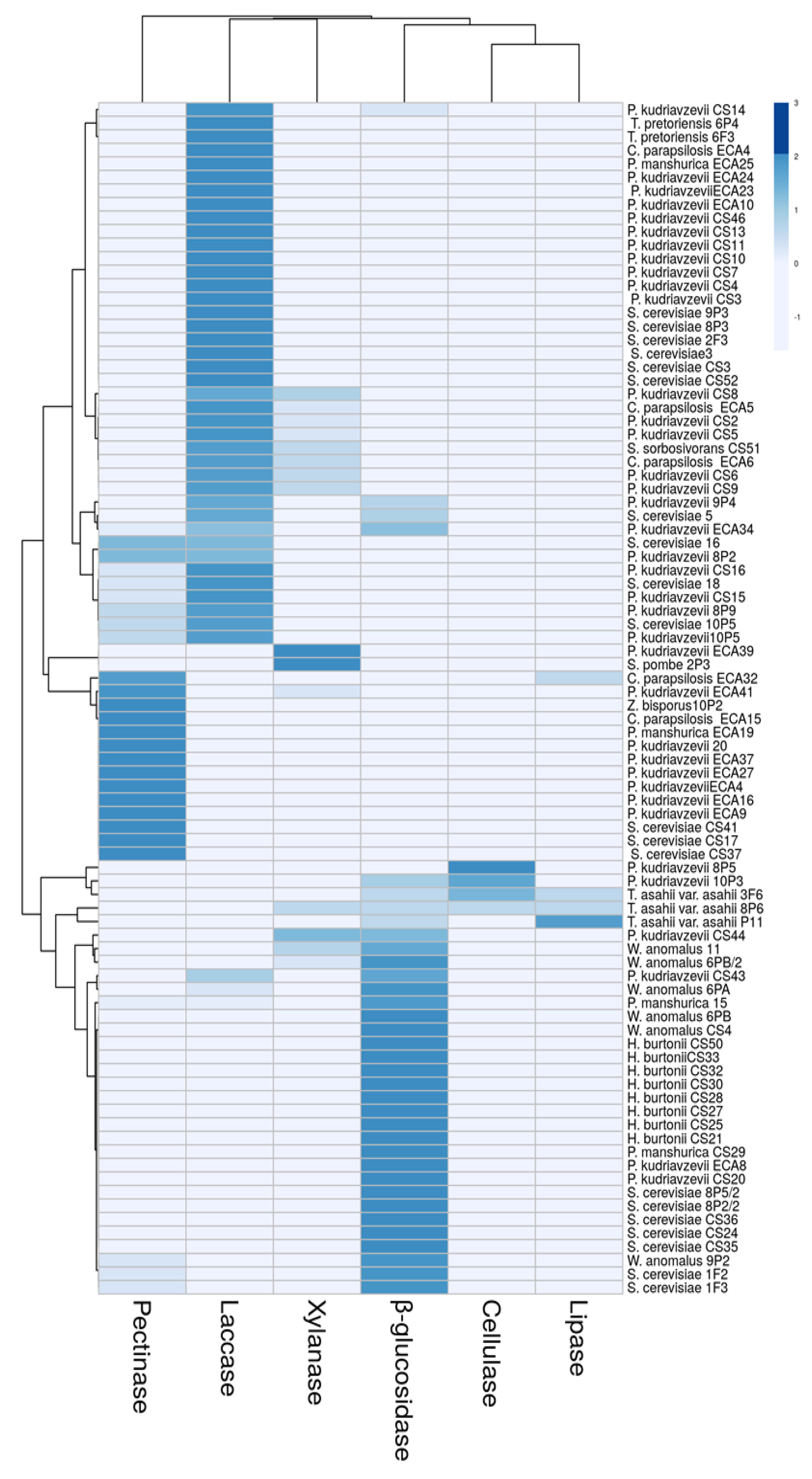 Microorganisms 08 01086 g002 Microorganisms 08 01086 g002