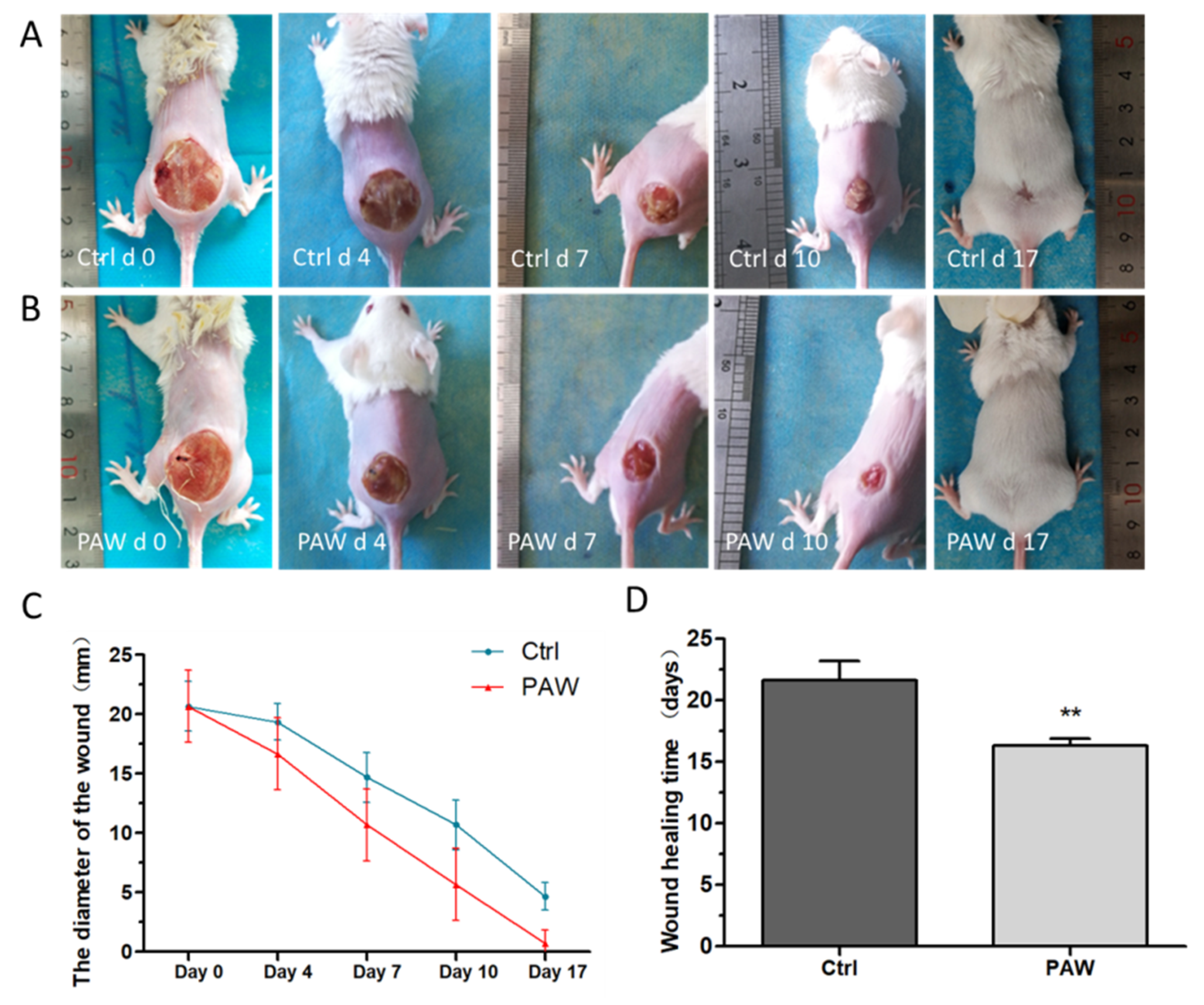 Microorganisms 08 01091 g005