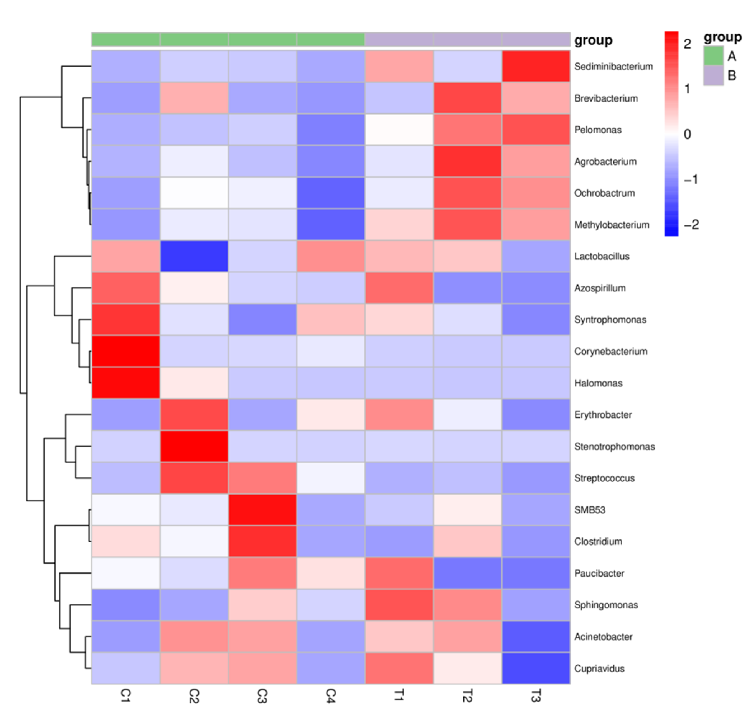 Microorganisms 08 01091 g008