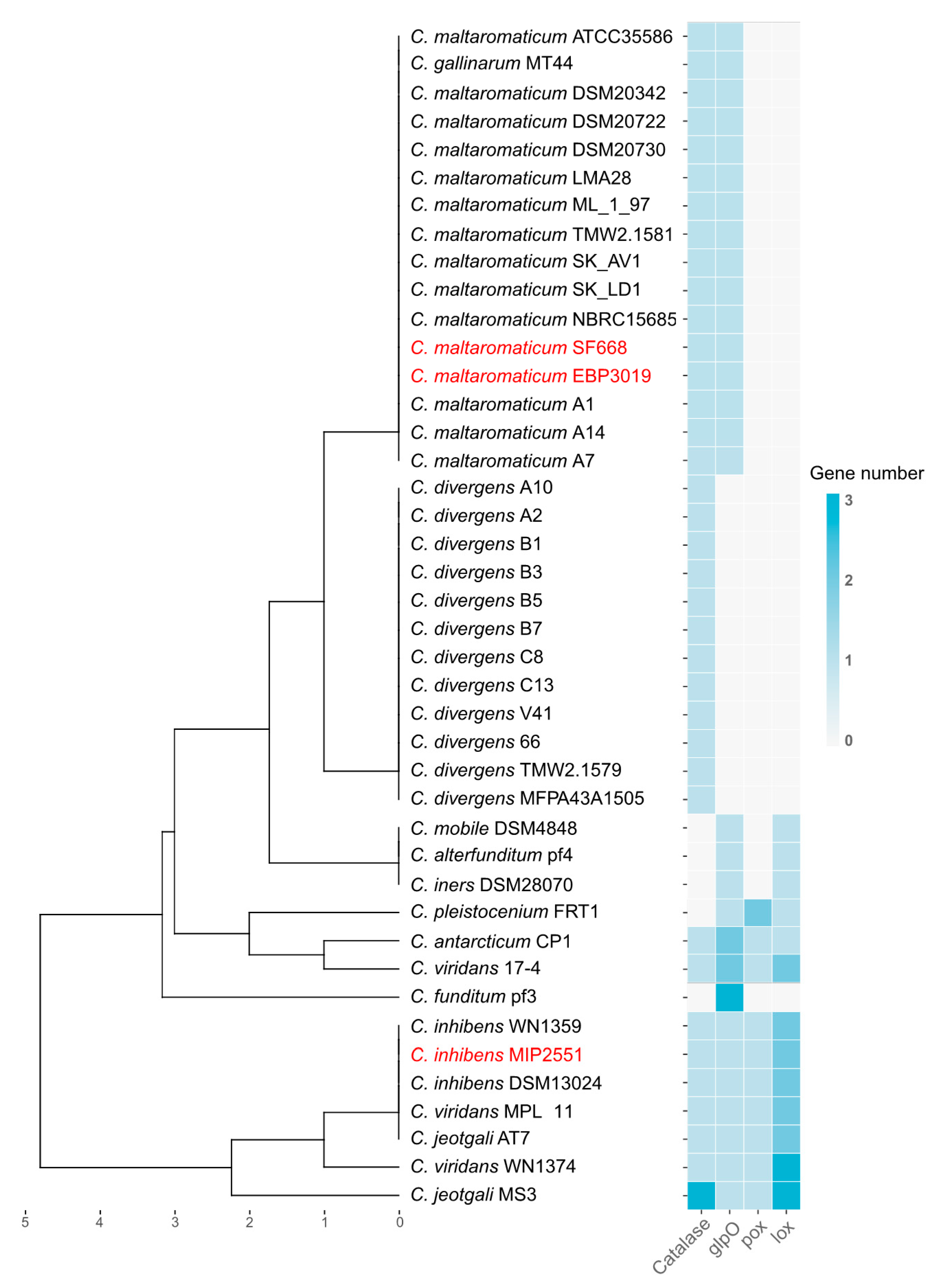 Microorganisms 08 01093 g008 Microorganisms 08 01093 g008