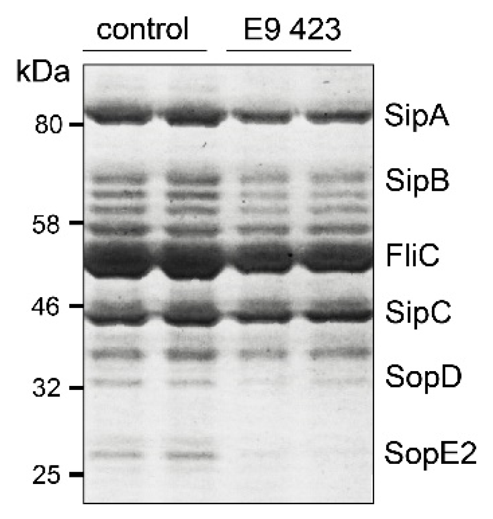 Microorganisms 08 01096 g004