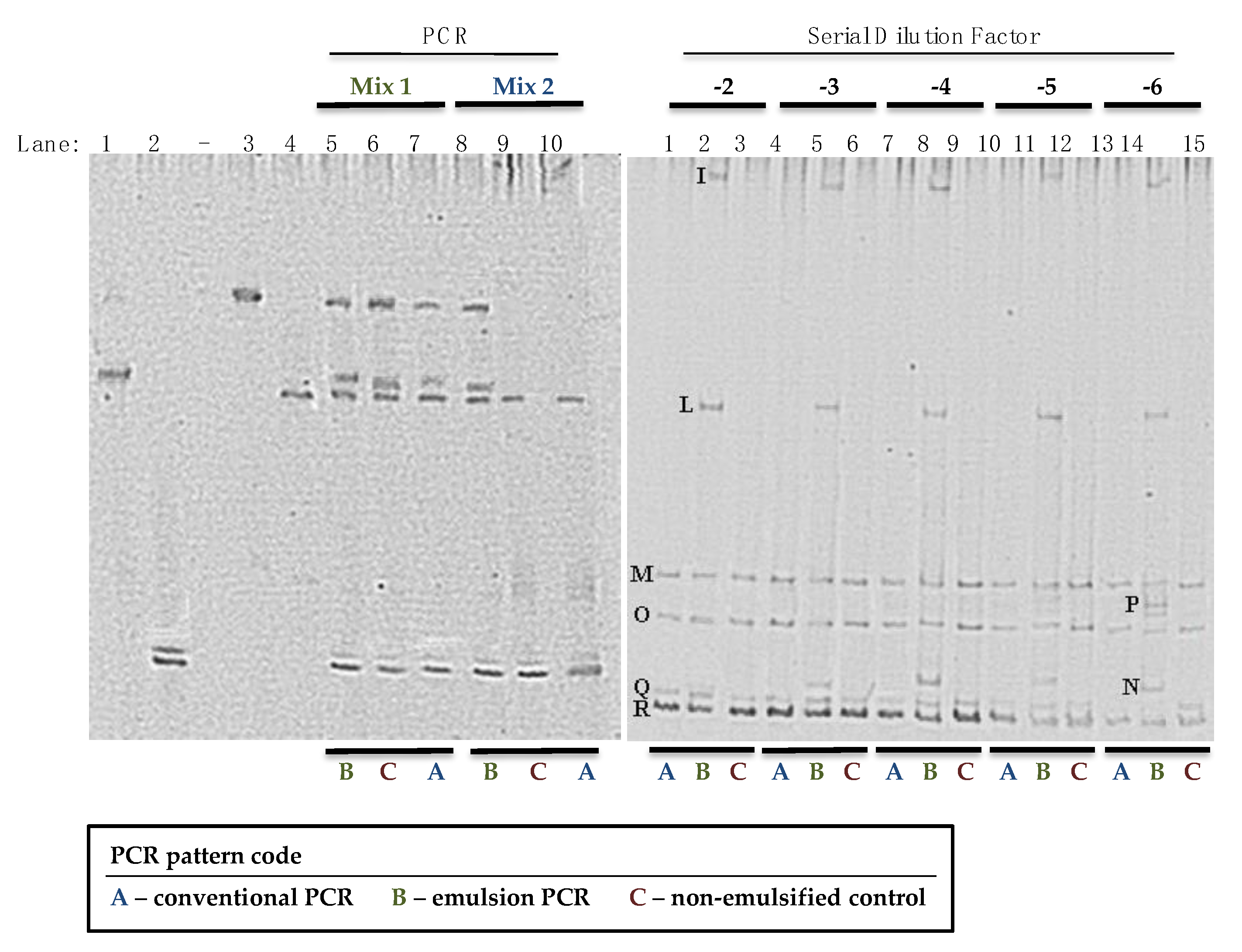 Microorganisms 08 01099 g001 Microorganisms 08 01099 g001